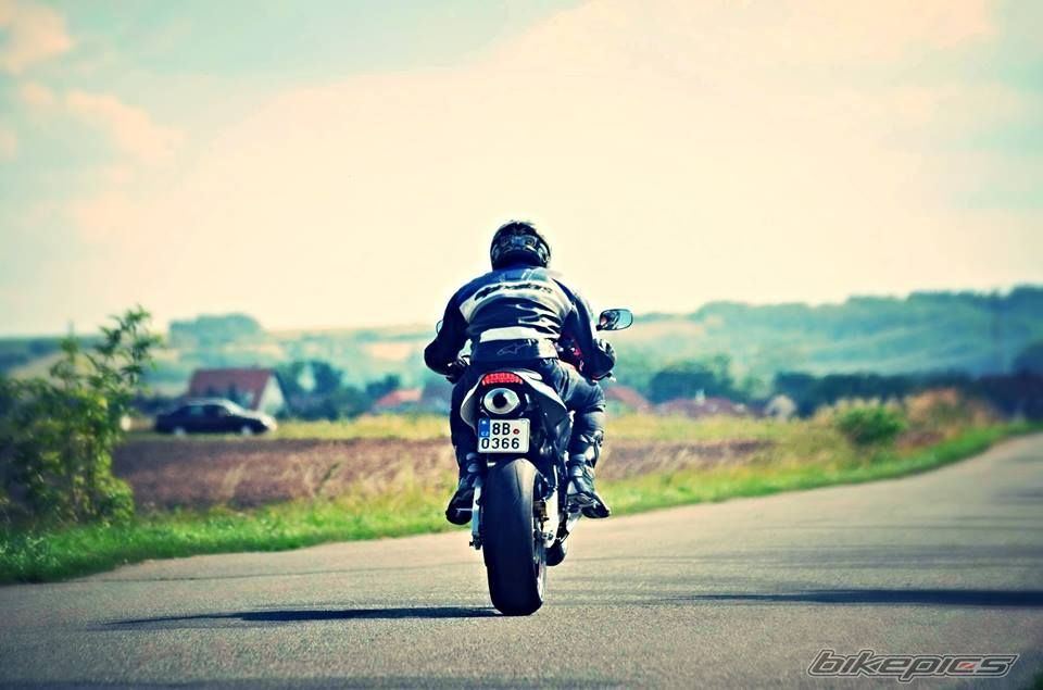 2004 HONDA CBR 600 RR | Picture 2626923 motorcycle photo