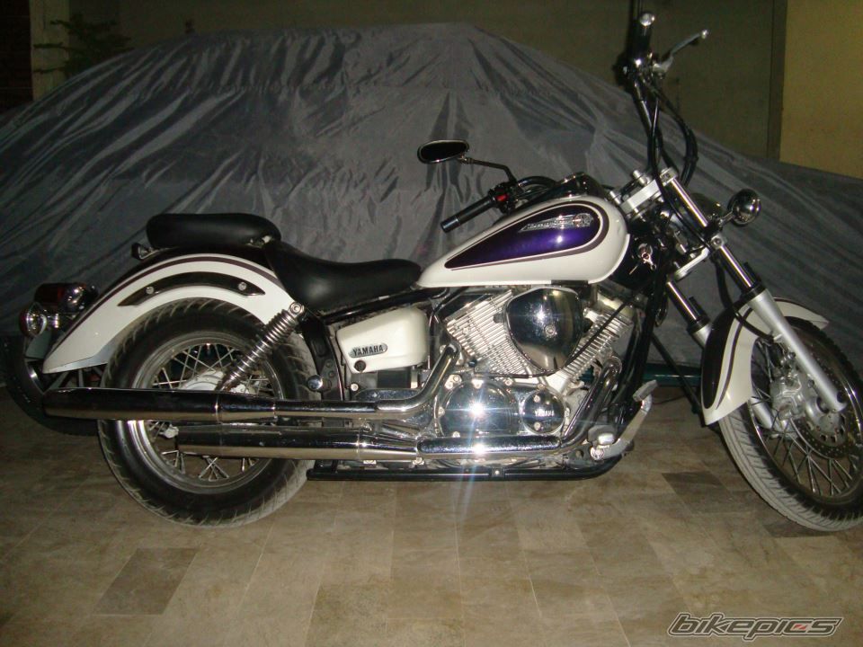 2004 YAMAHA DRAGSTAR 400 | Picture 2627776 motorcycle photo