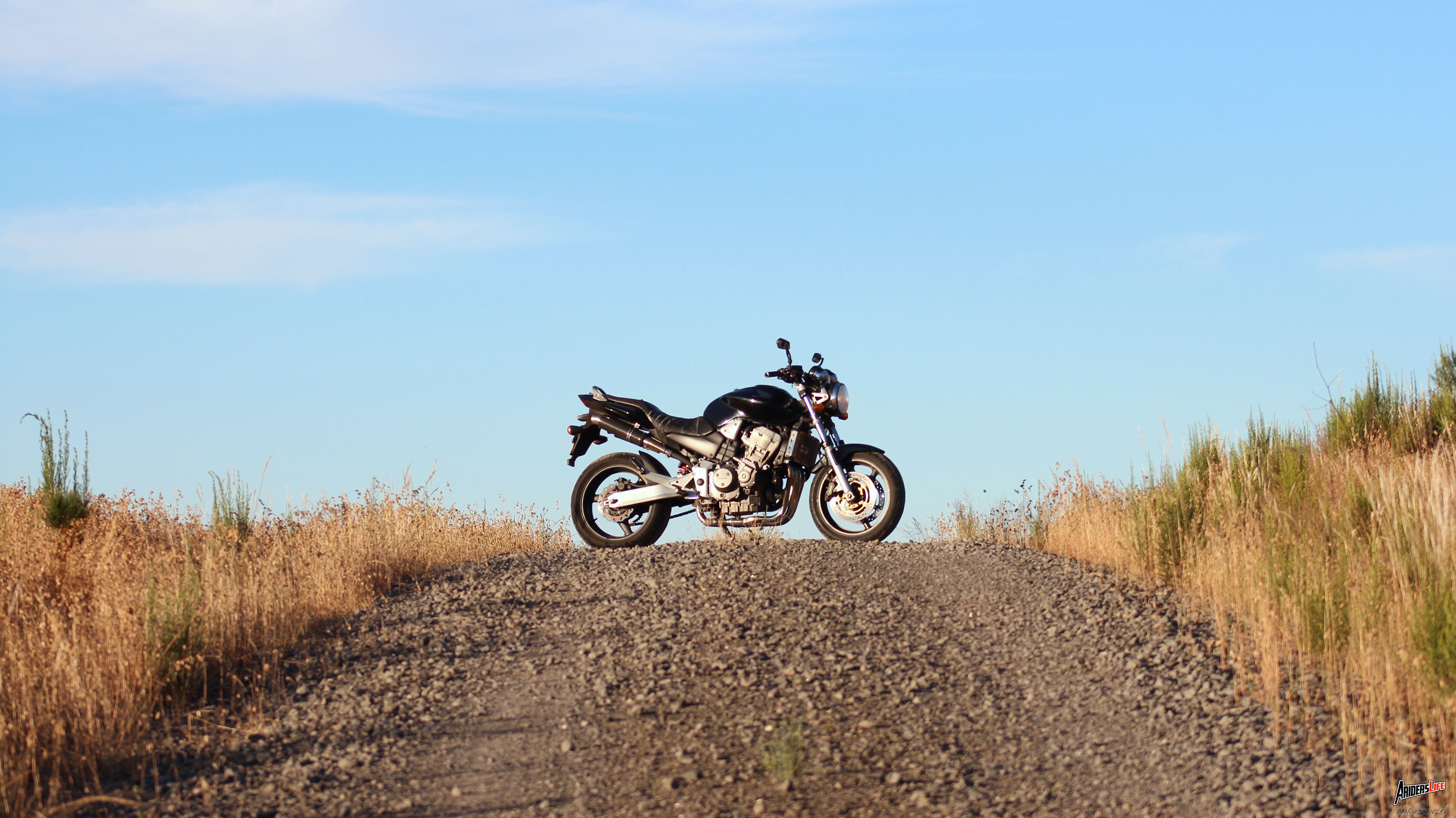 2004 HONDA CB 900 | Picture 2628448 motorcycle photo