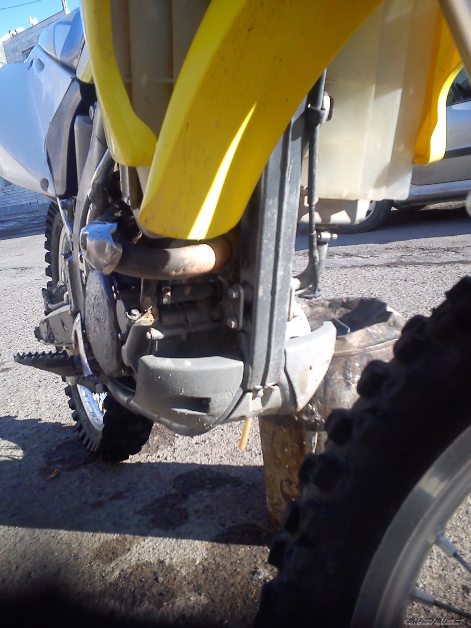 2003 SUZUKI RM 250 Z | Picture 2629273 motorcycle photo