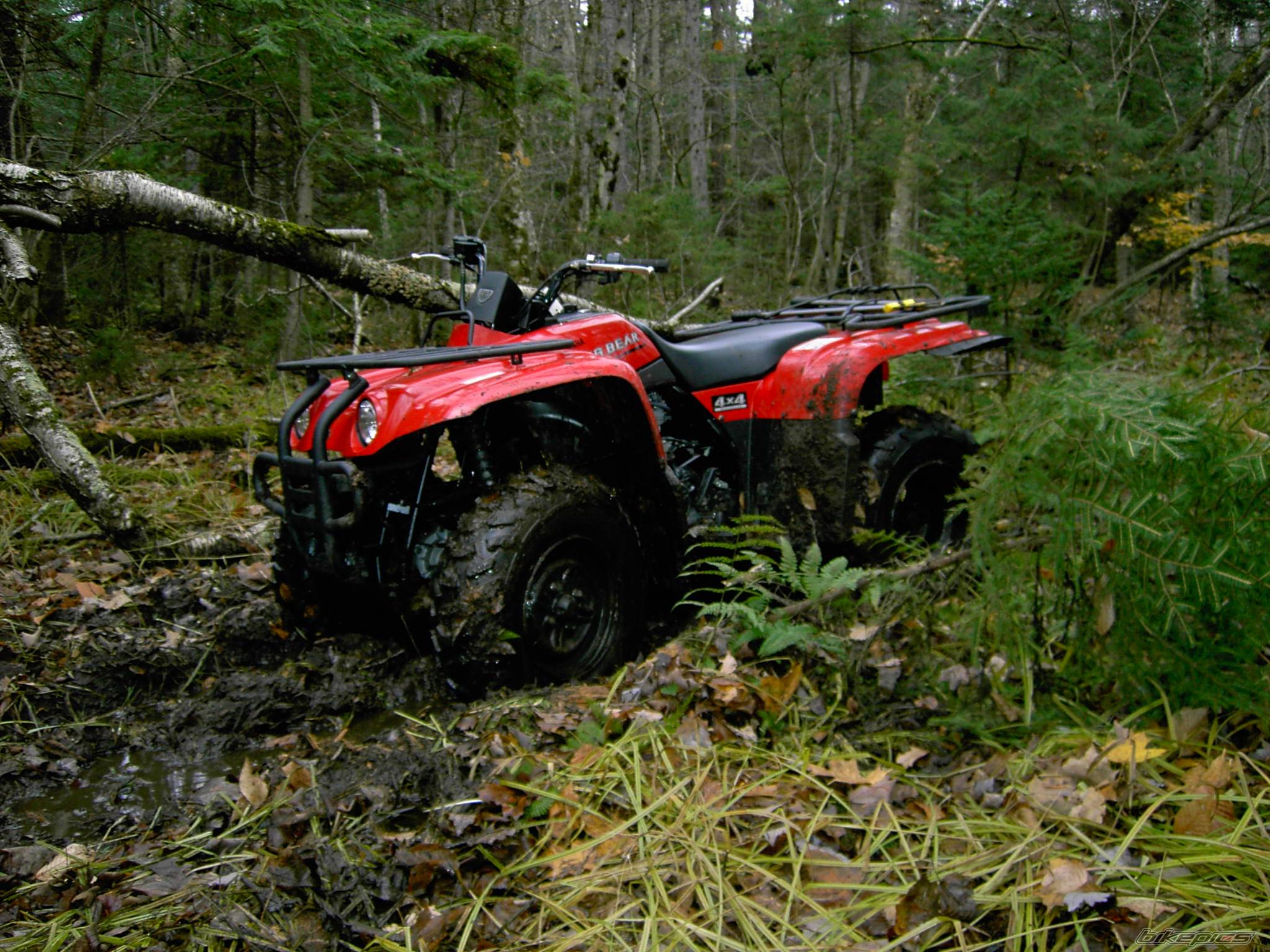 2003 YAMAHA BIG BEAR | Picture 262942 motorcycle photo