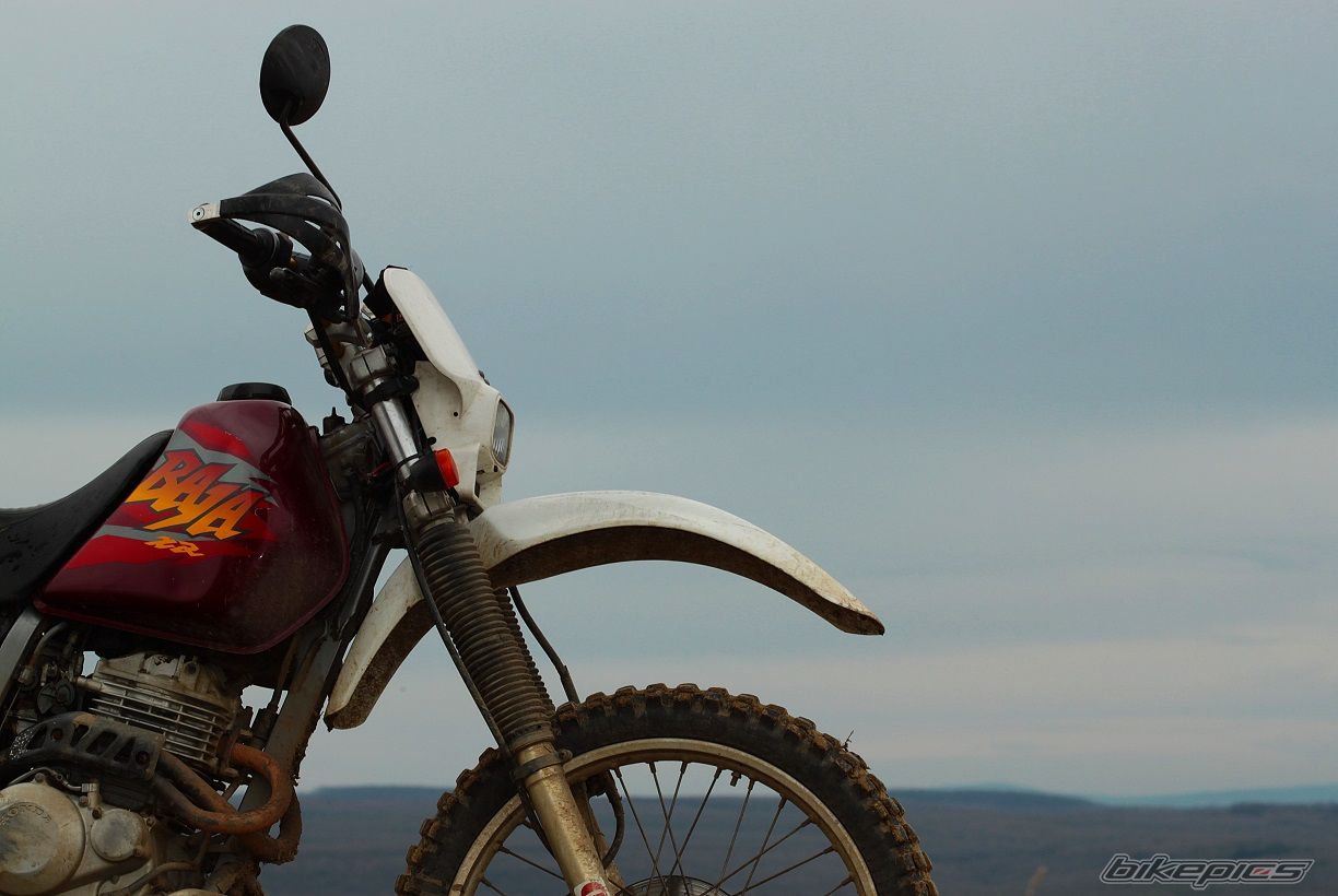 1996 HONDA XR 250 BAJA | Picture 2630049 motorcycle photo