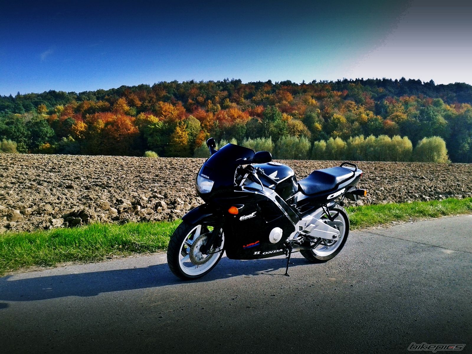 1991 HONDA CBR 600 | Picture 2631255 motorcycle photo