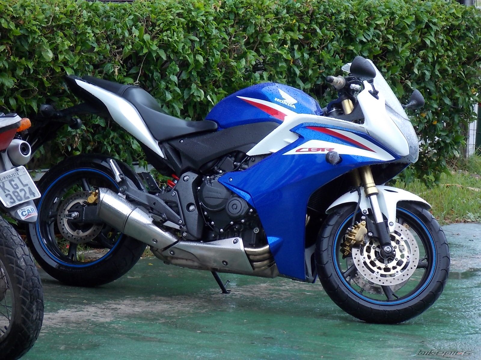 2011 HONDA CBF 600 | Picture 2631348 motorcycle photo