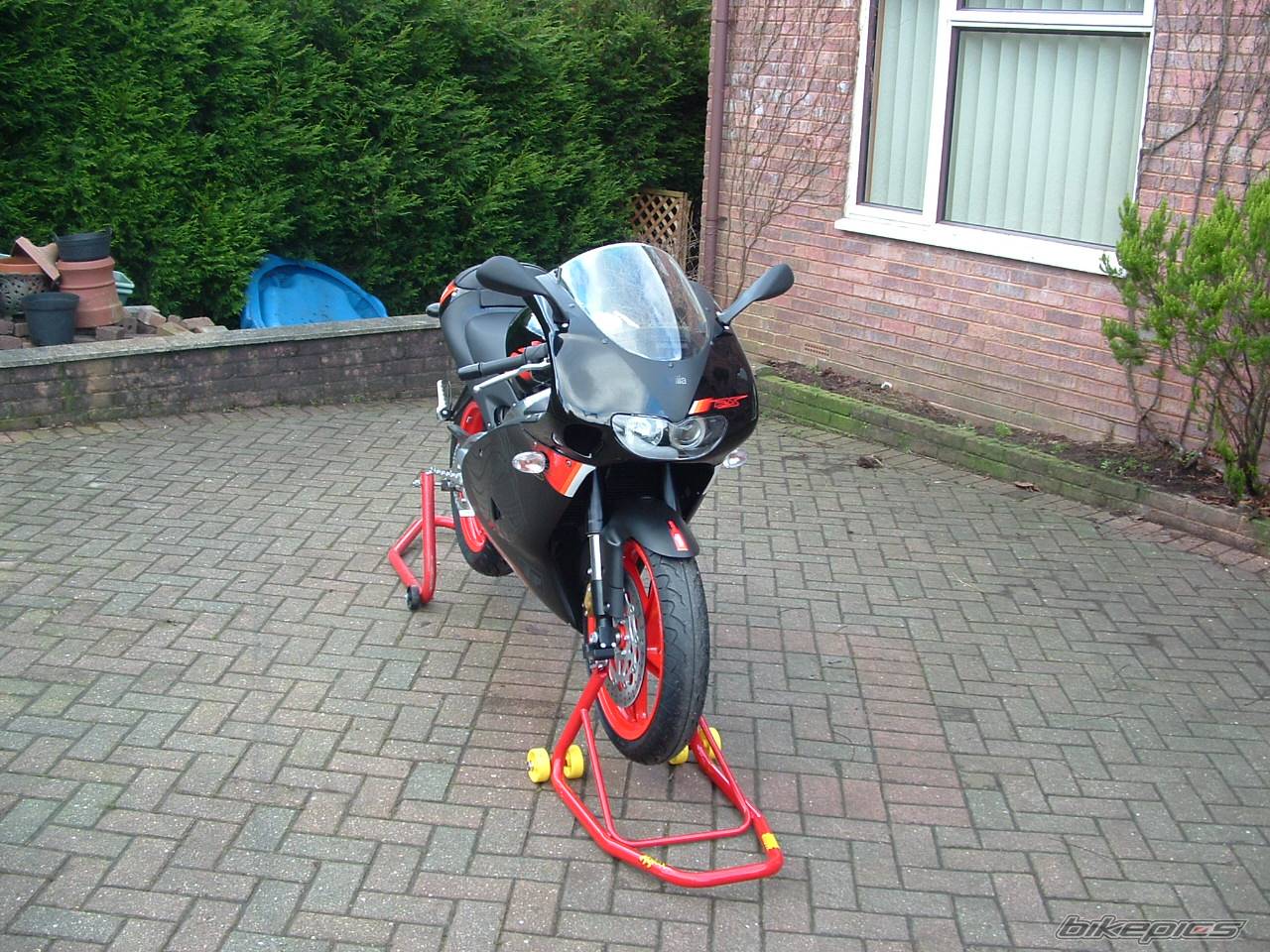 2005 APRILIA RS 125 | Picture 263175 motorcycle photo