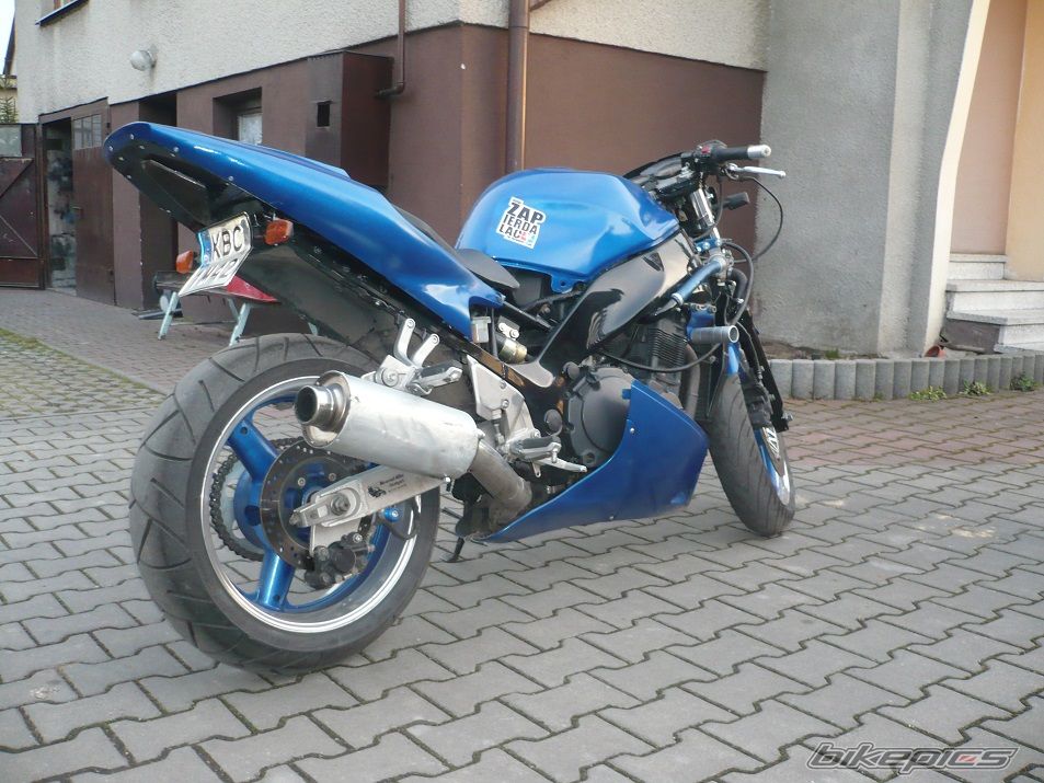 1995 SUZUKI RF 900 | Picture 2631907 motorcycle photo