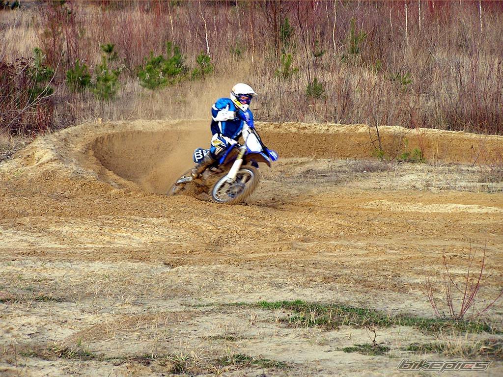 2004 YAMAHA YZ 250F | Picture 263191 motorcycle photo
