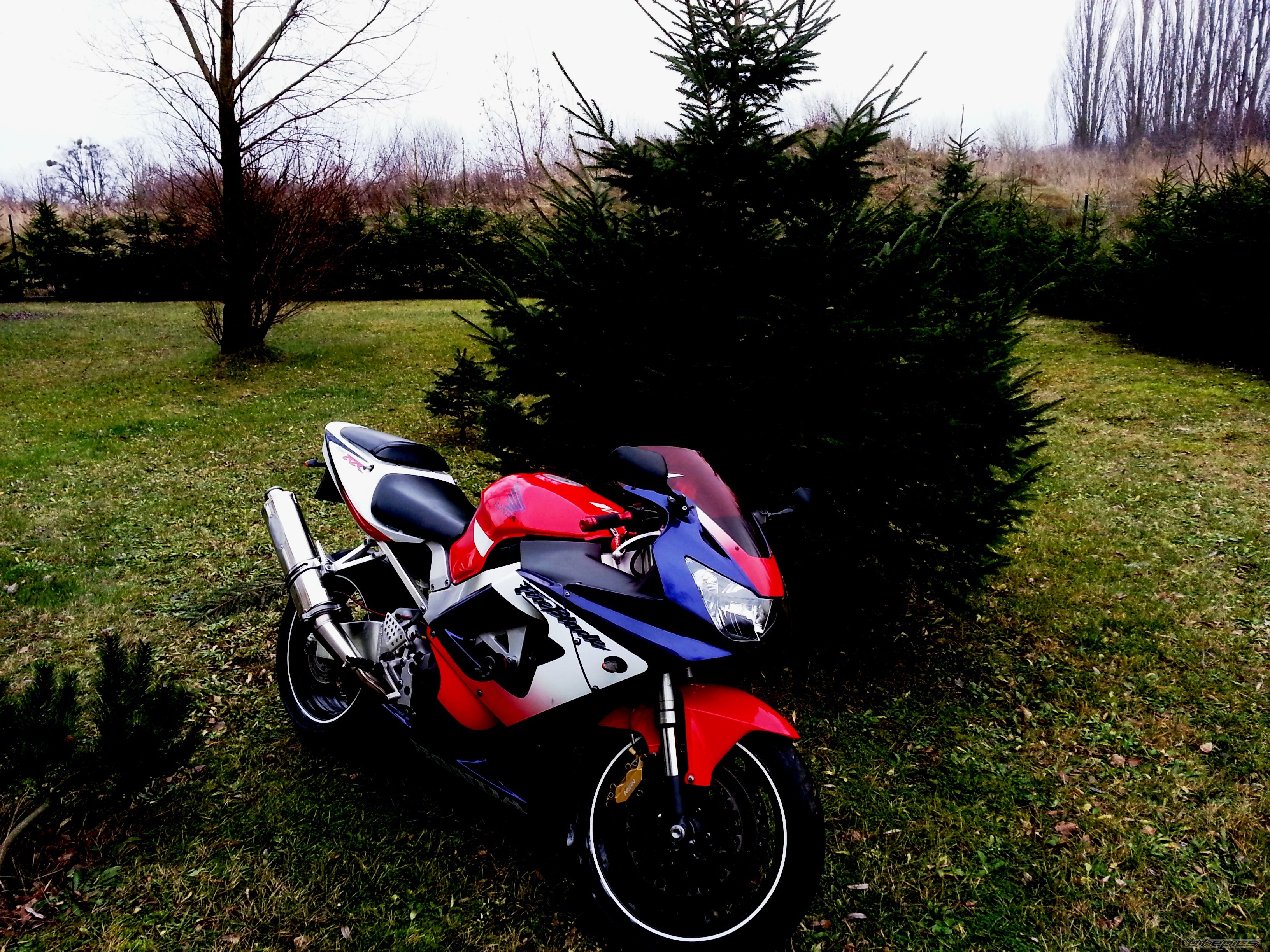 2001 HONDA CBR 929RR FIREBLADE | Picture 2631968 motorcycle photo