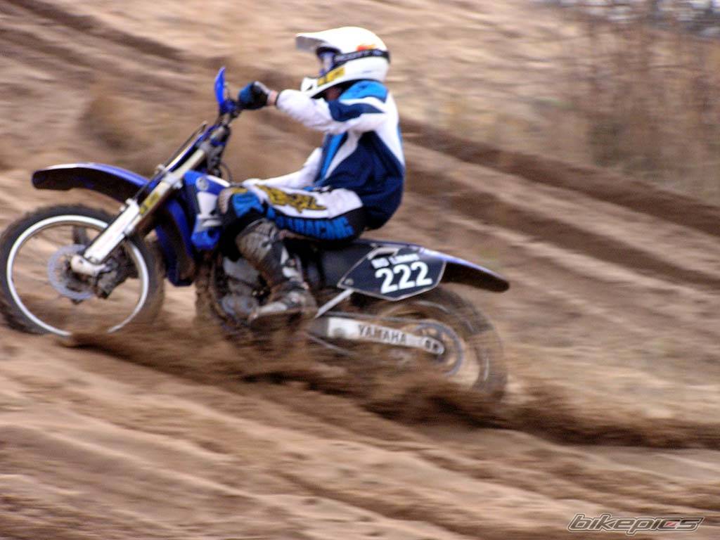 2004 YAMAHA YZ 250F | Picture 263203 motorcycle photo