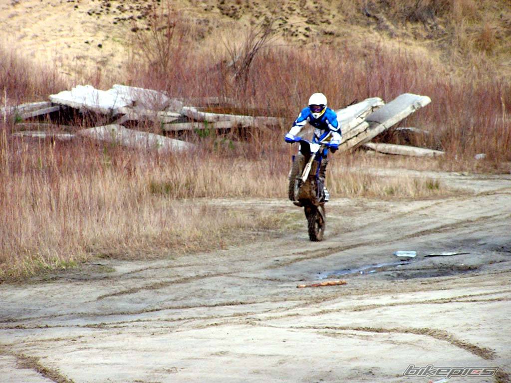 2004 YAMAHA YZ 250F | Picture 263204 motorcycle photo