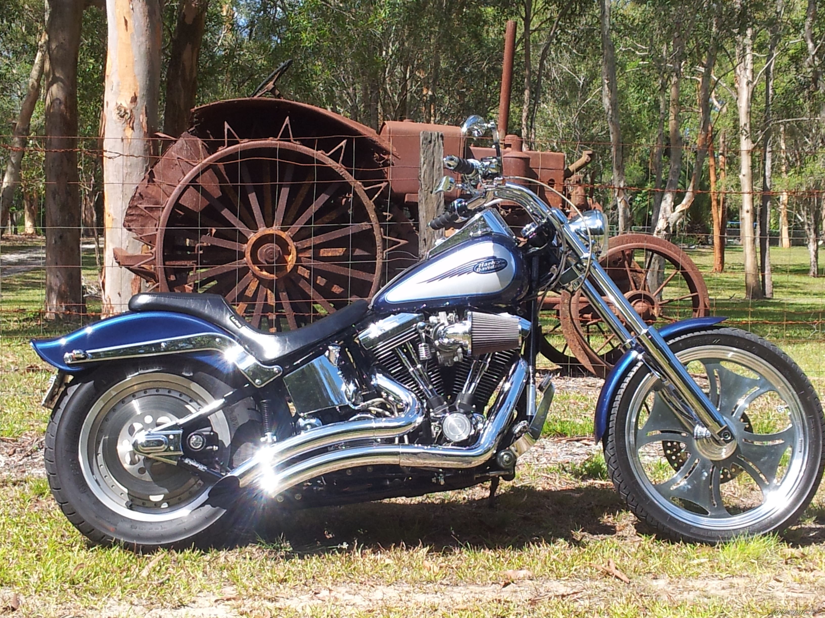1997 HARLEY DAVIDSON FXSTC | Picture 2632442 motorcycle photo