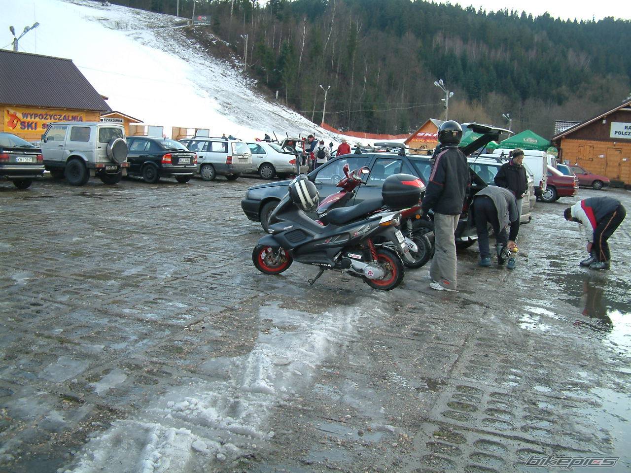 2004 MALAGUTI FIREFOX 50 F15 | Picture 263251 motorcycle photo