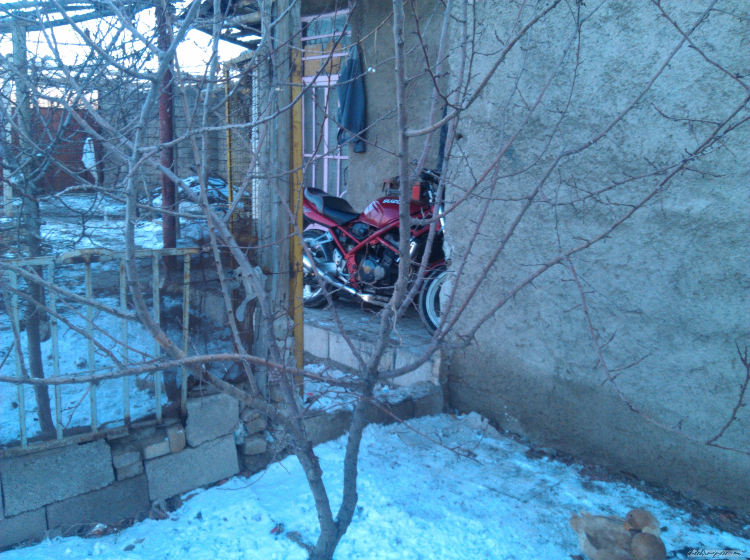 1997 SUZUKI BANDIT 250 | Picture 2633386 motorcycle photo
