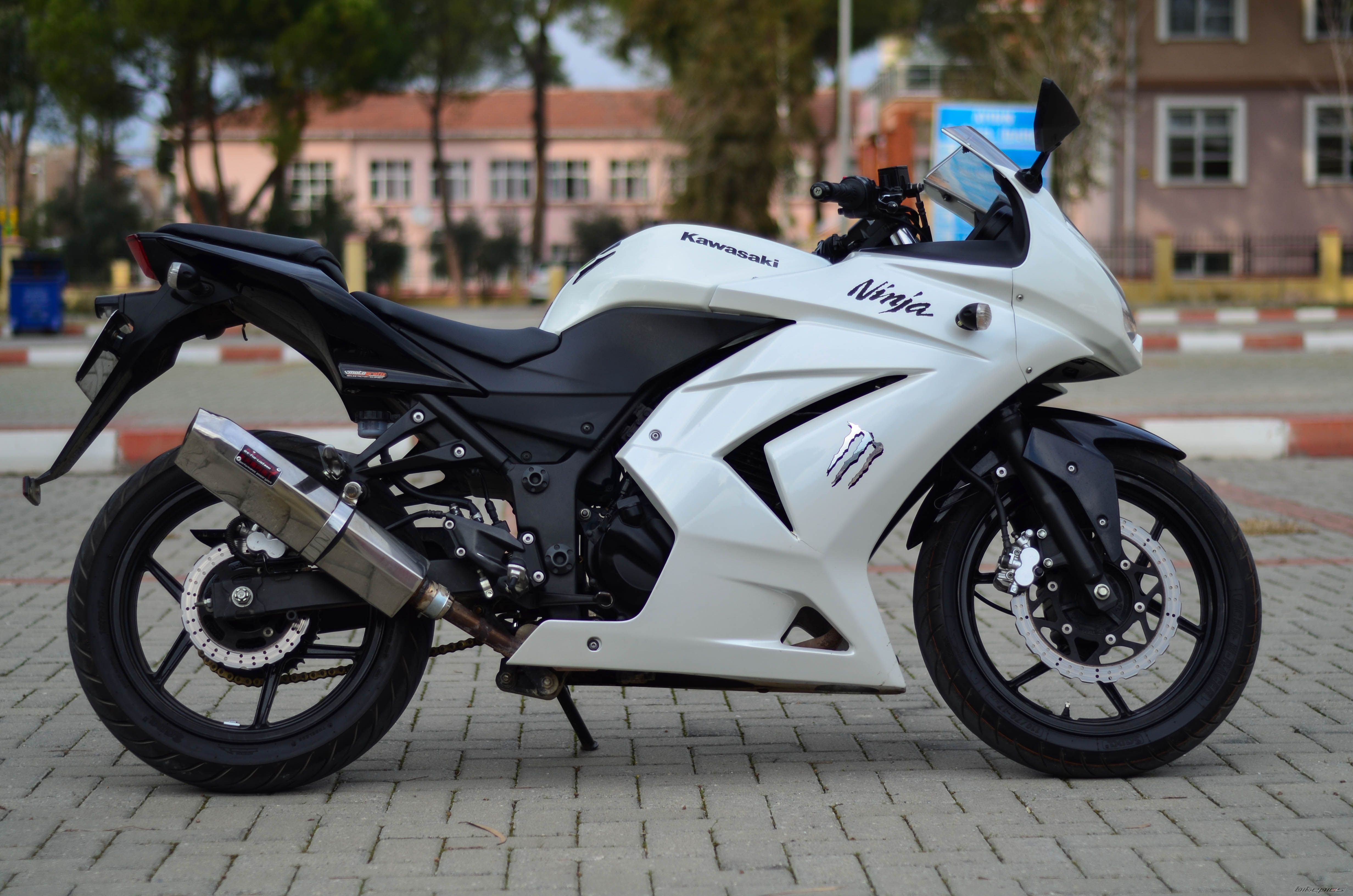 2011 KAWASAKI NINJA 250R | Picture 2633509 motorcycle photo