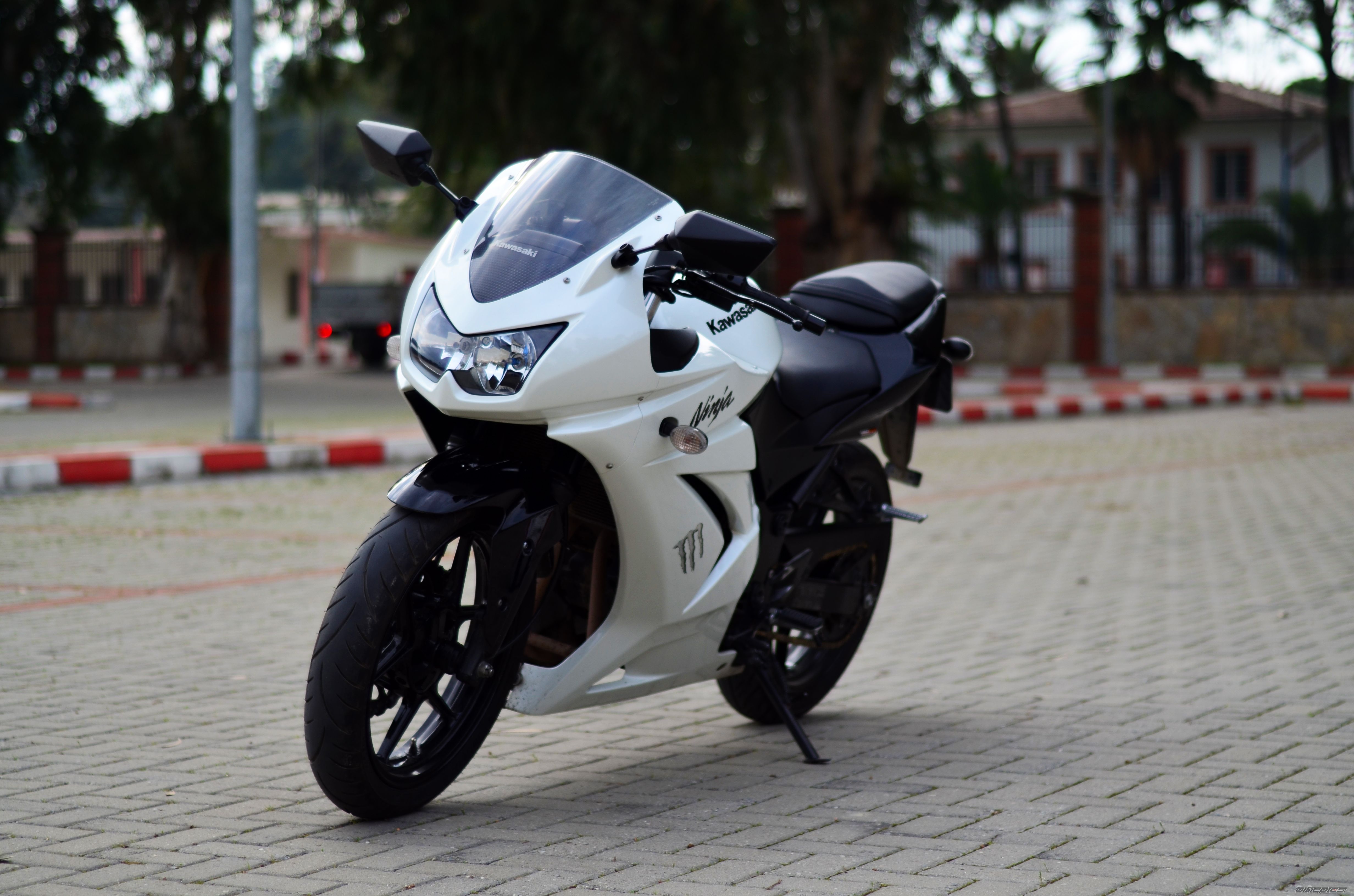 2011 KAWASAKI NINJA 250R | Picture 2633514 motorcycle photo