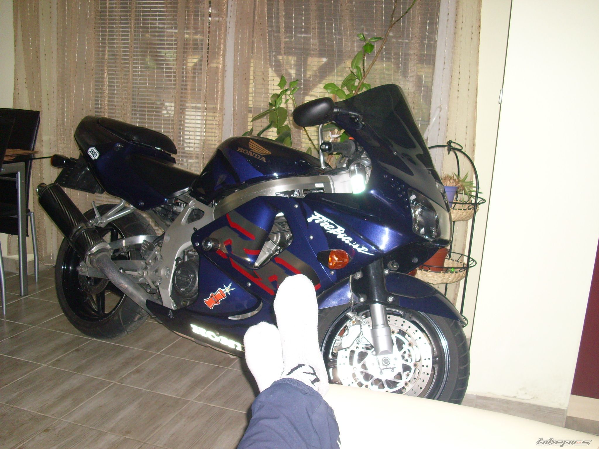 1999 HONDA CBR 900RR FIREBLADE | Picture 2633919 motorcycle photo