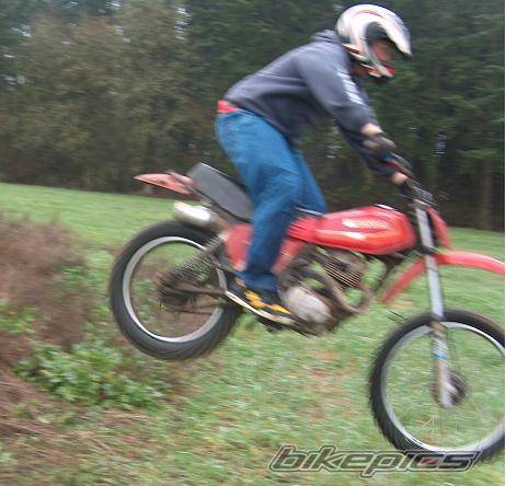 1980 HONDA XL 185 | Picture 263435 motorcycle photo