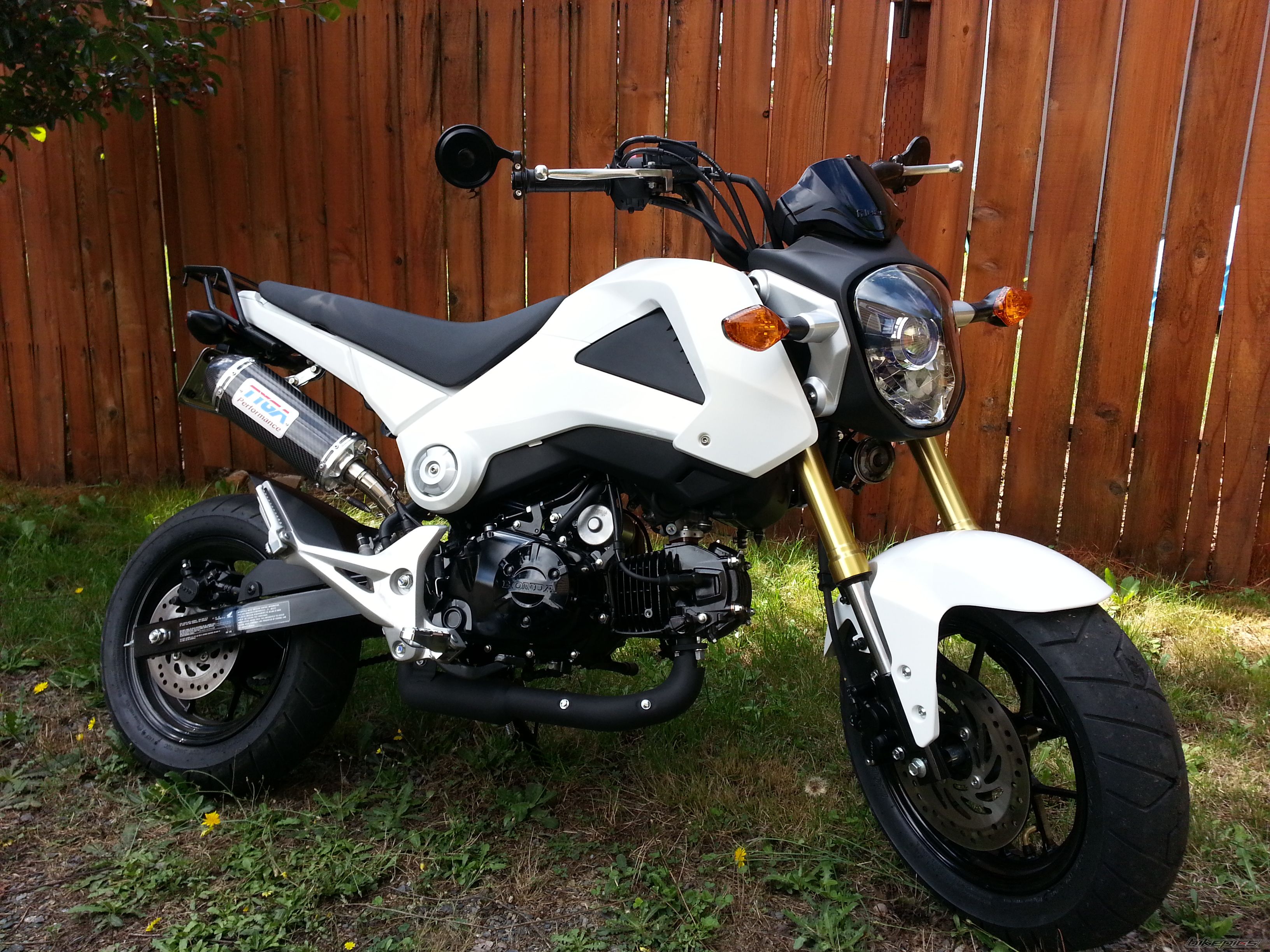 2014 HONDA GROM | Picture 2635146 motorcycle photo