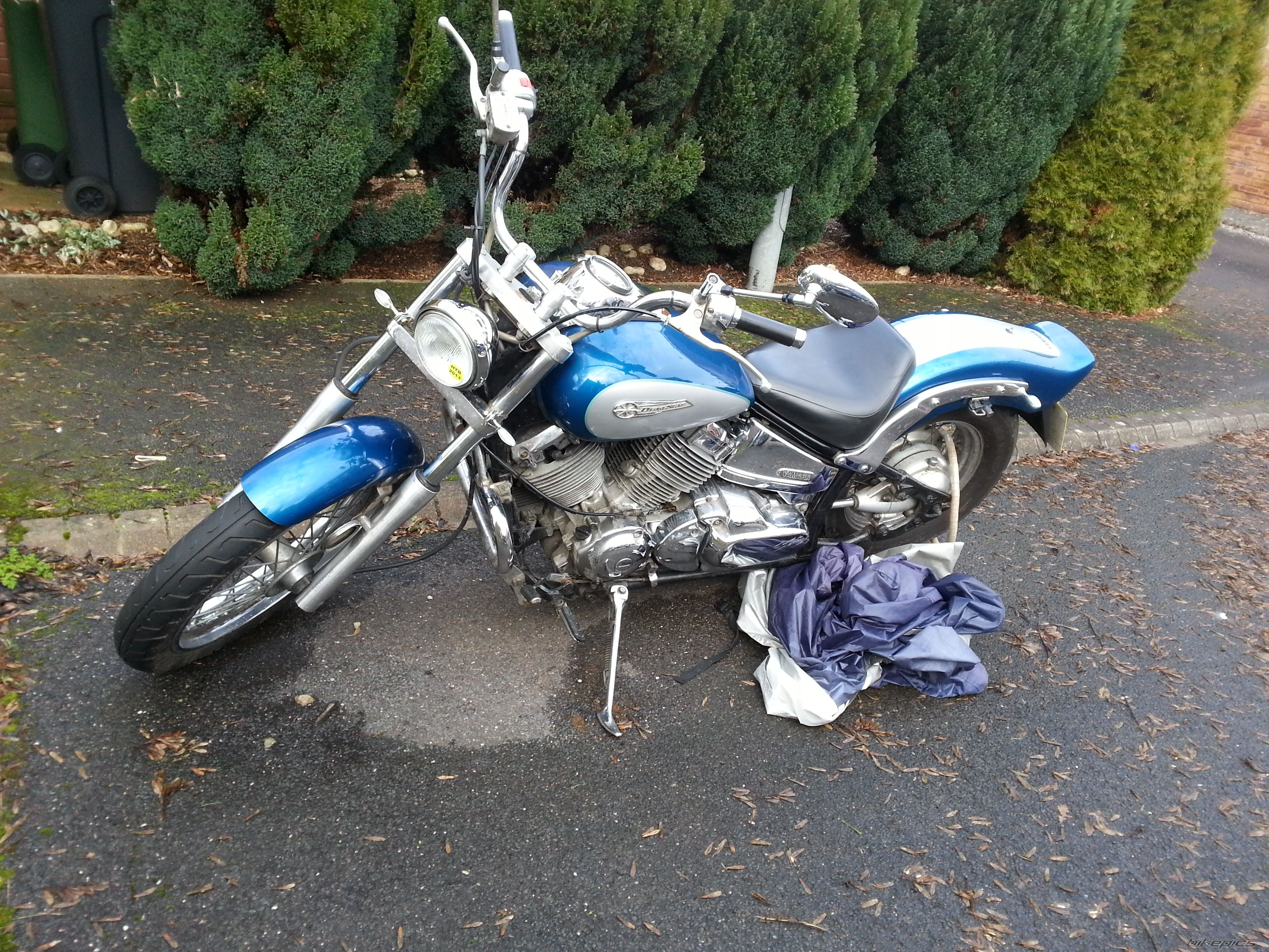 1999 YAMAHA XVS650 DRAGSTAR CUSTOM | Picture 2635210 motorcycle photo