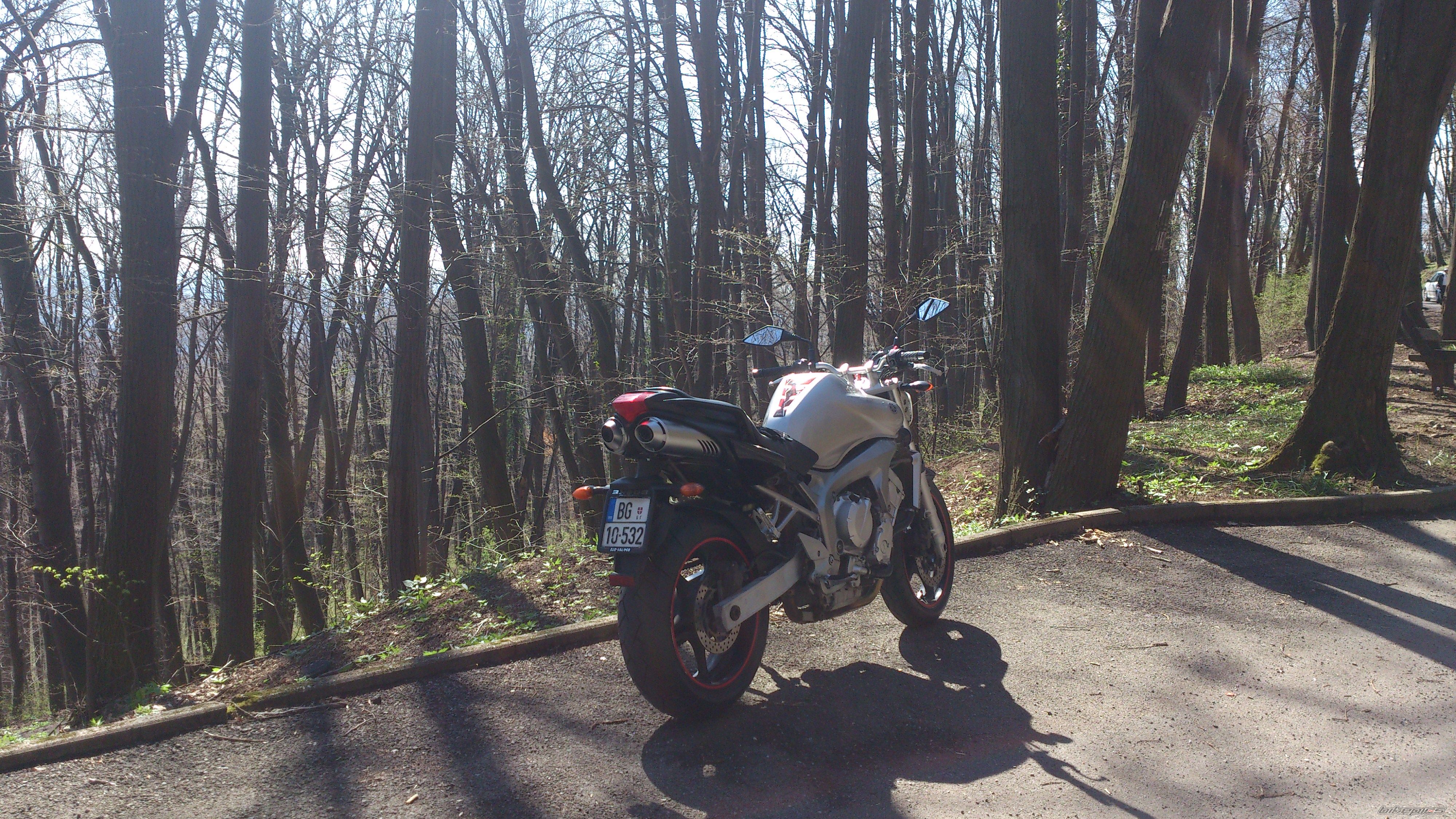 2005 YAMAHA FZ6N | Picture 2636275 motorcycle photo