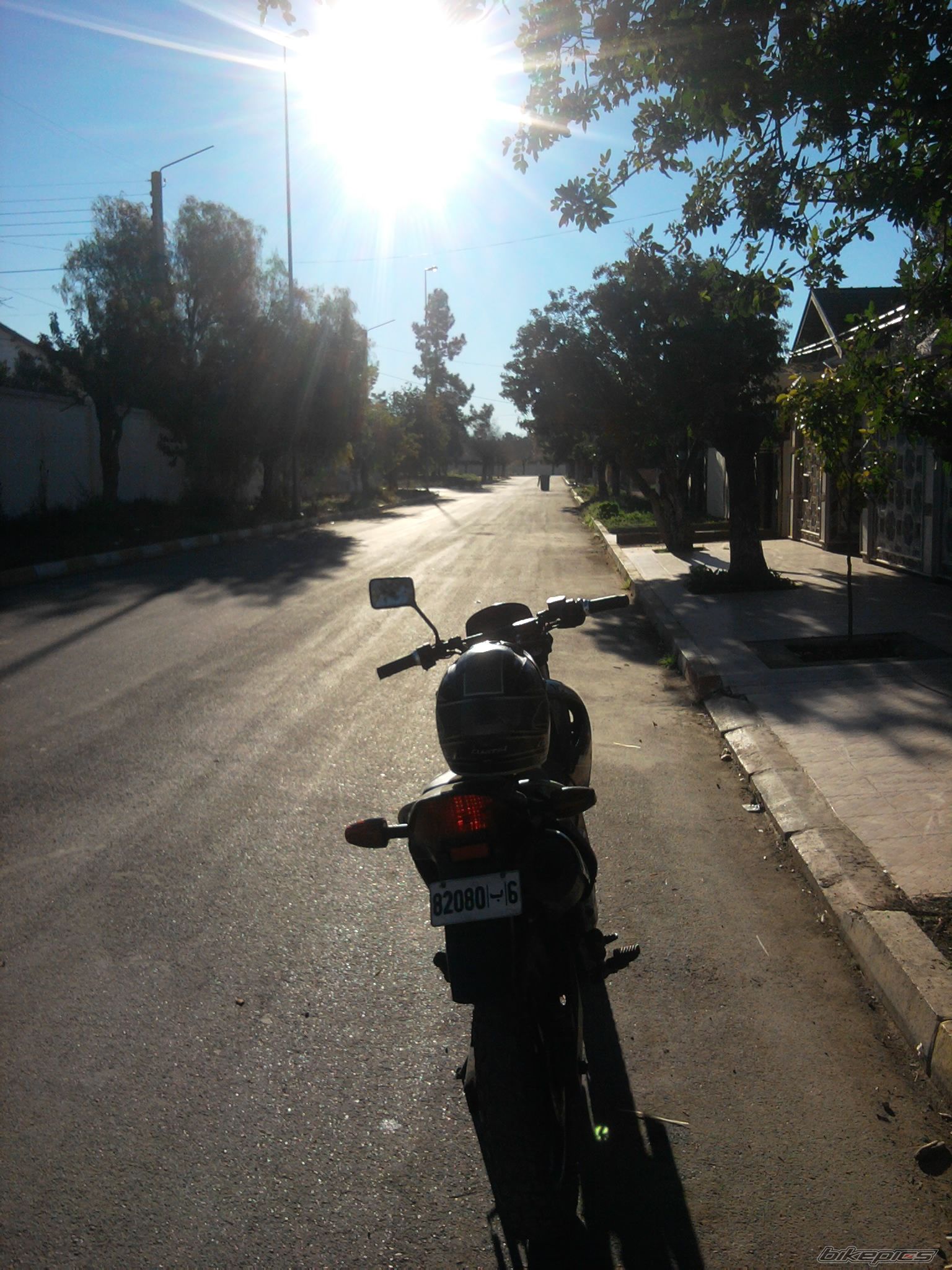2007 HONDA NX 4 FALCON | Picture 2636652 motorcycle photo