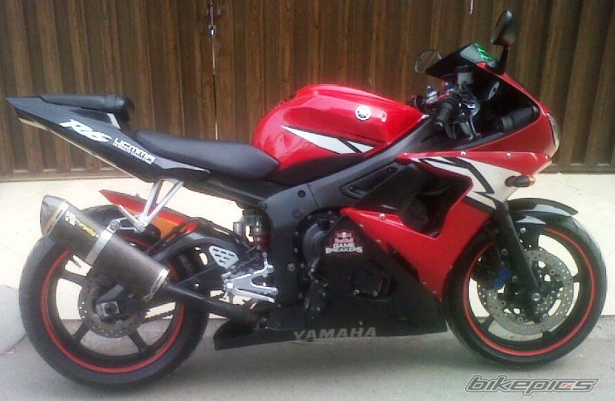 1981 KAWASAKI KE 175 | Picture 2638644 motorcycle photo
