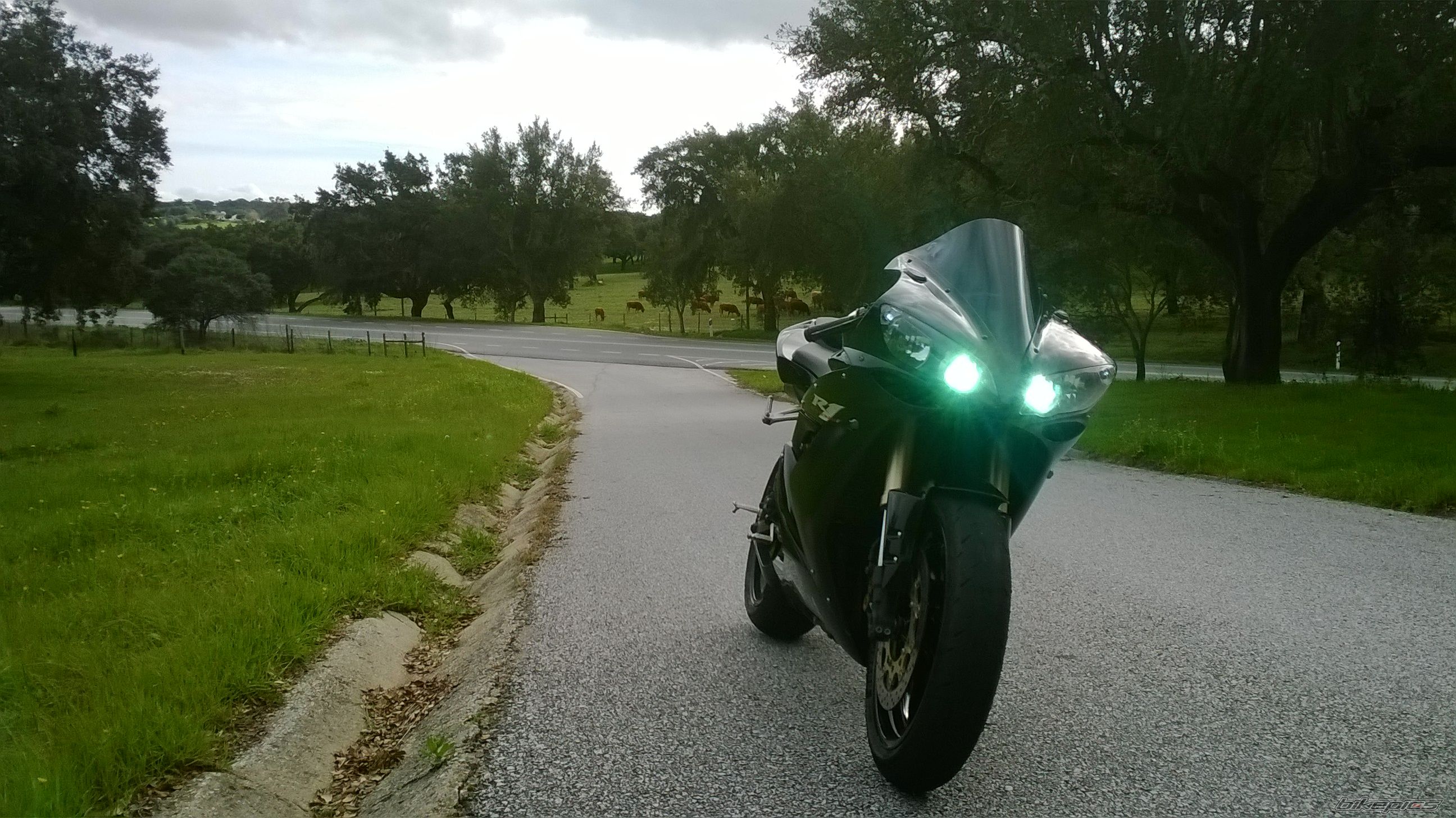 2006 YAMAHA YZF R1 | Picture 2639183 motorcycle photo