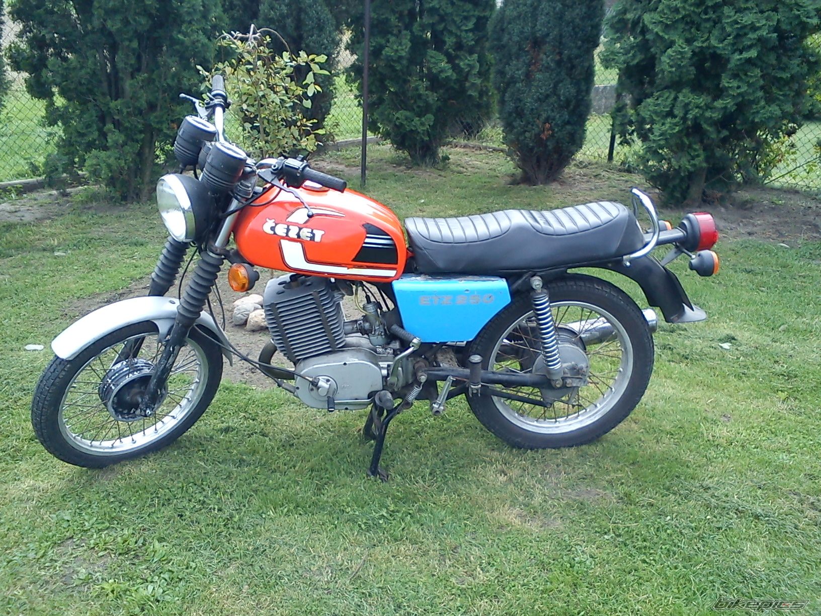 1983 MZ ETZ 250 | Picture 2639279 motorcycle photo