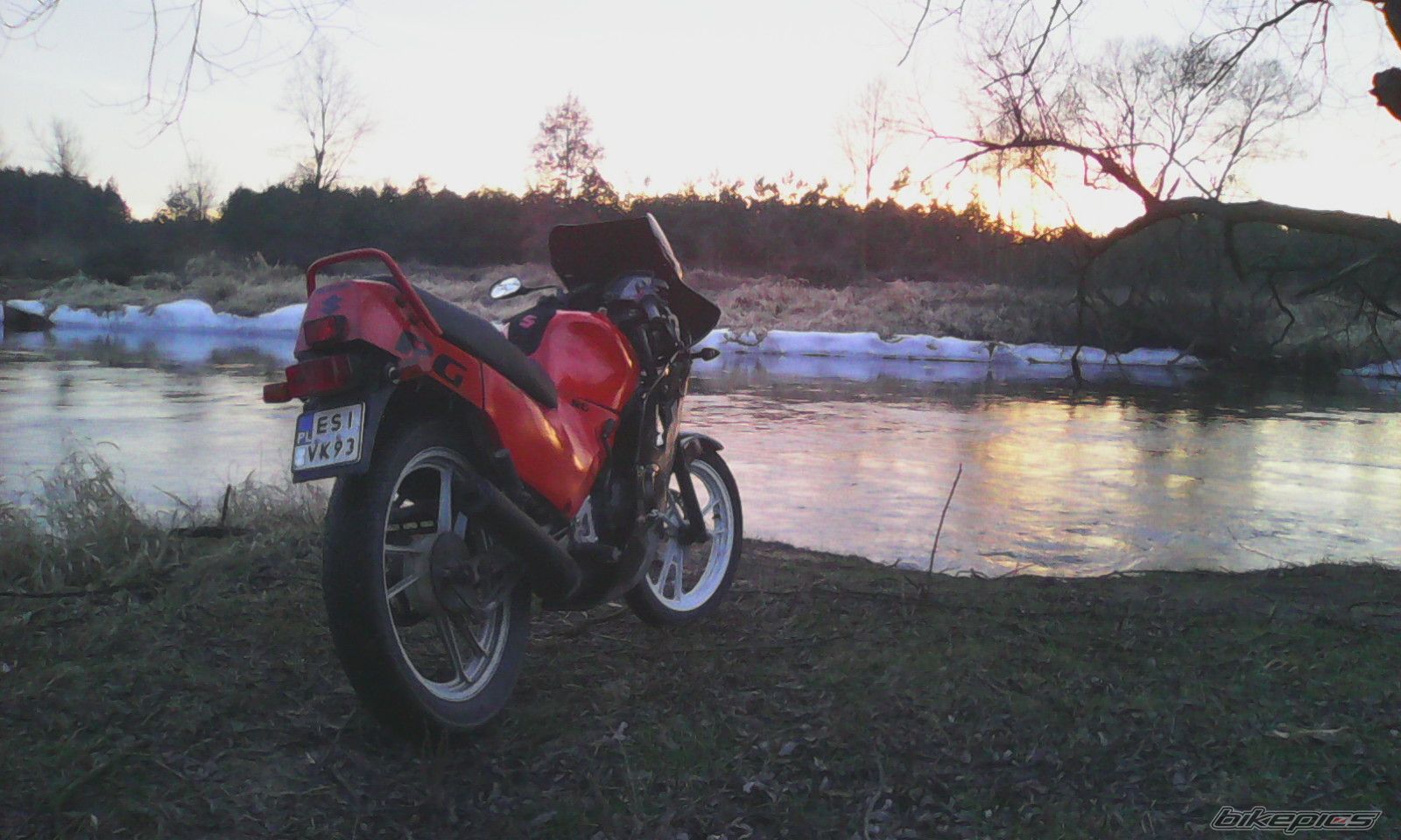 1993 SUZUKI RG 80 | Picture 2640246 motorcycle photo