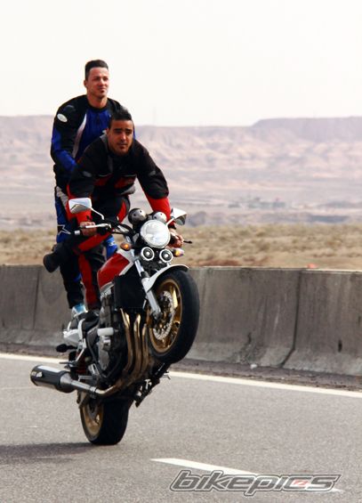2011 HONDA CB1300 | Picture 2640583 motorcycle photo