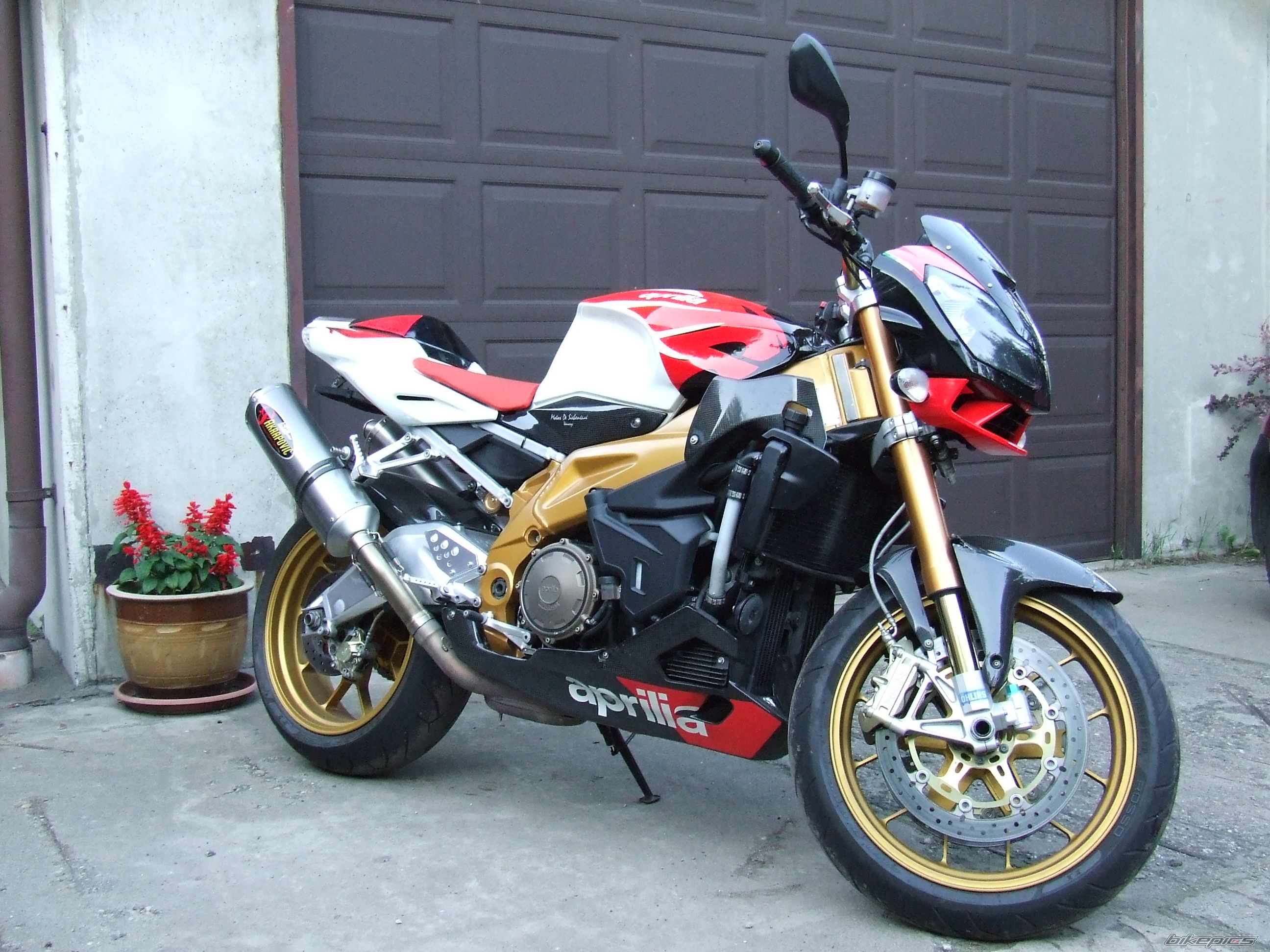 2008 APRILIA TUONO FACTORY | Picture 2641249 motorcycle photo