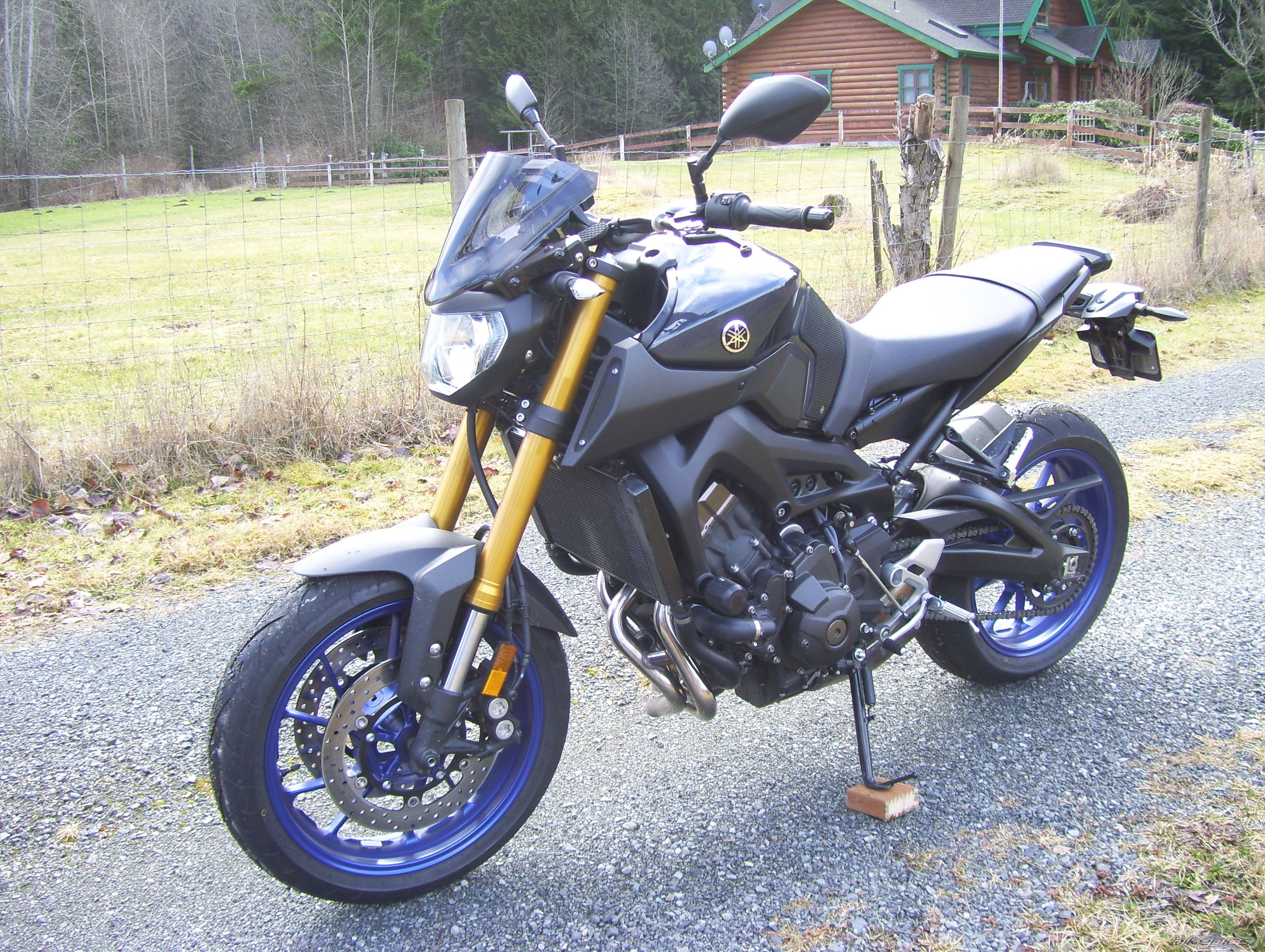 2014 YAMAHA FZ 09 | Picture 2641434 motorcycle photo