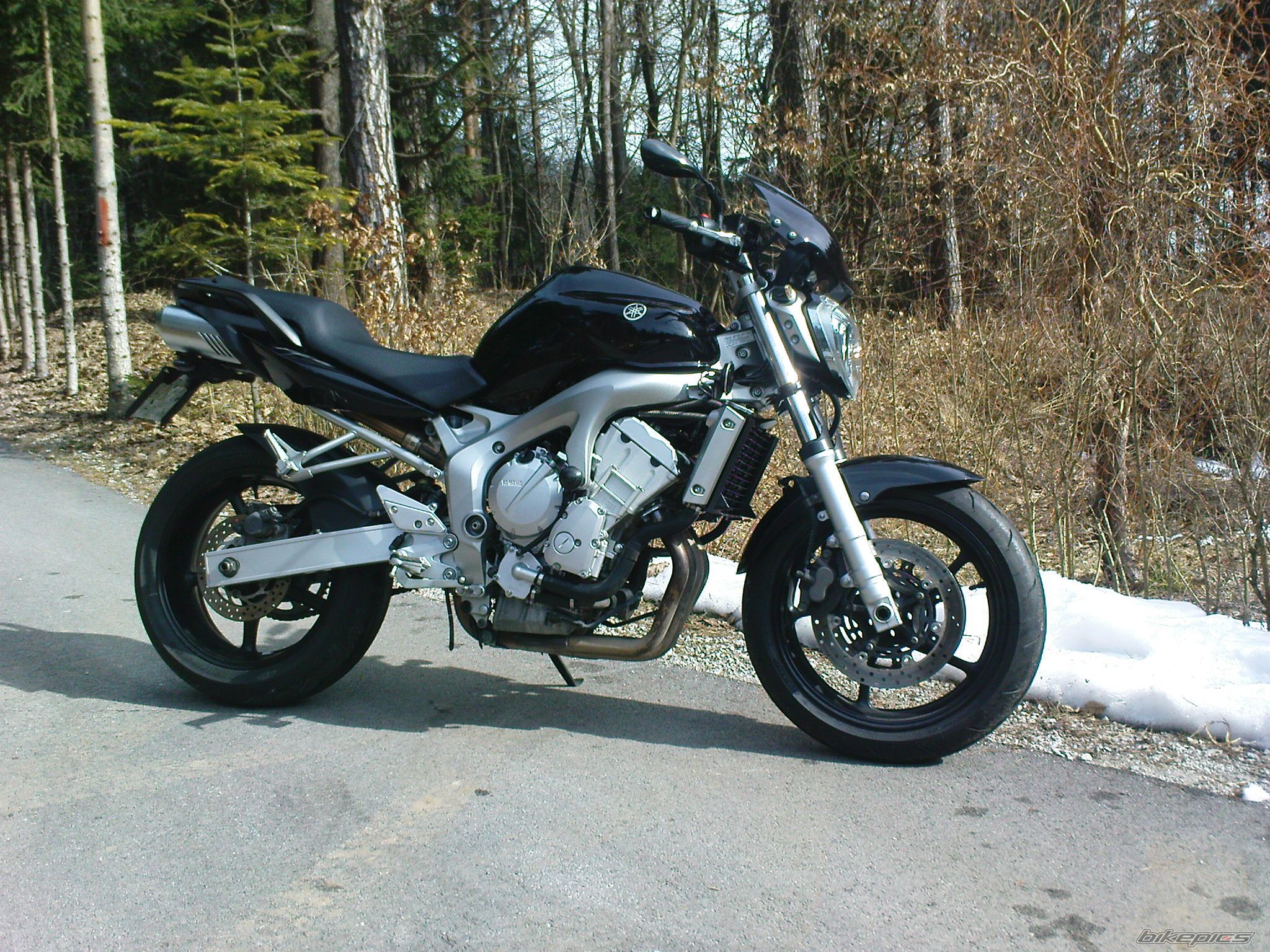 2004 YAMAHA FZ6N | Picture 2642022 motorcycle photo