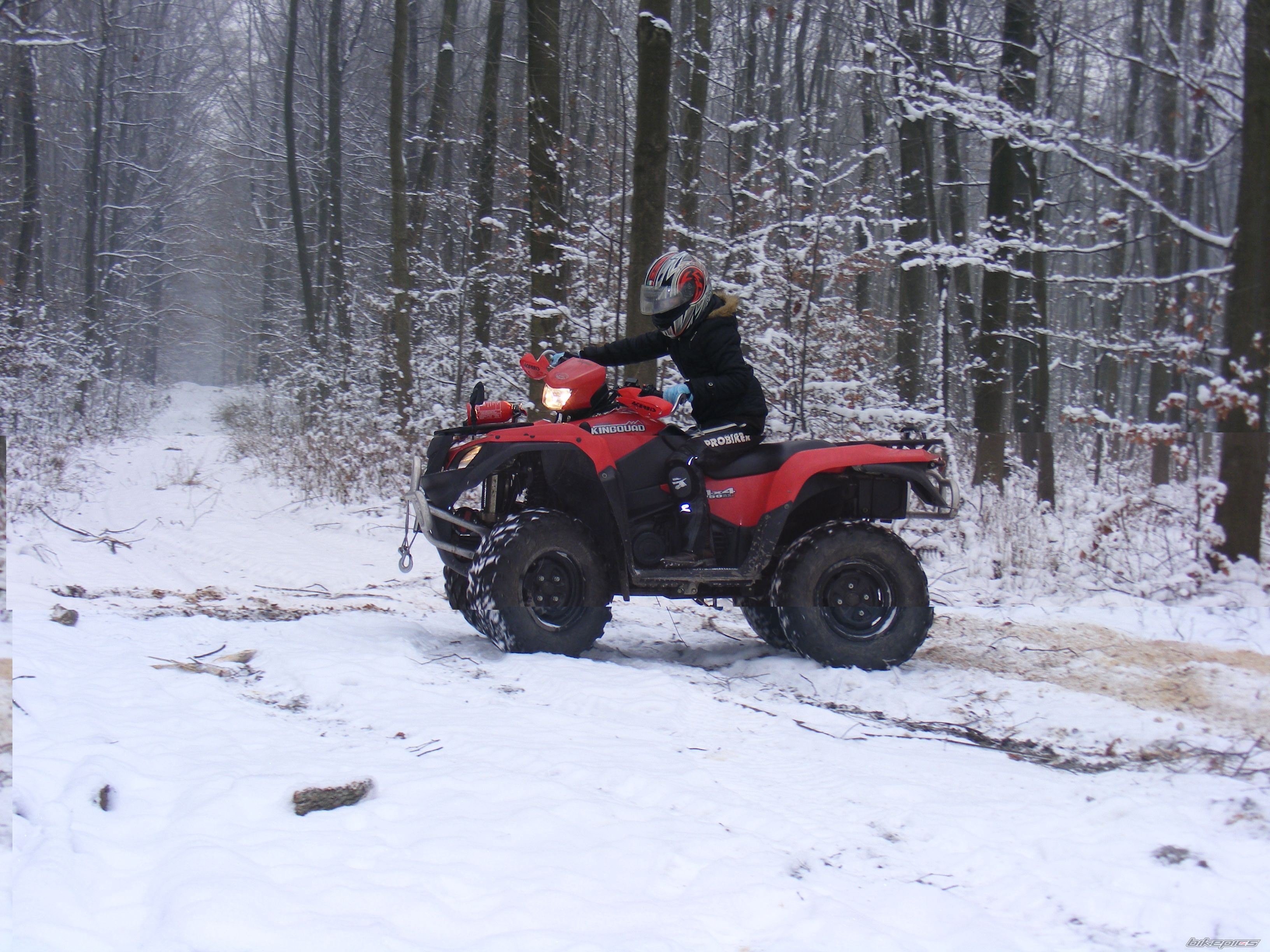 2007 SUZUKI KING QUAD | Picture 2643121 motorcycle photo