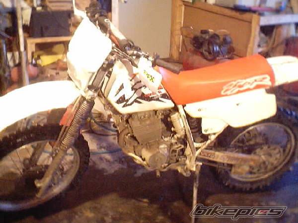 1995 HONDA XR 250 | Picture 26436 motorcycle photo