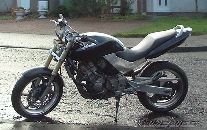 1998 HONDA CB 250 HORNET | Picture 264473 motorcycle photo