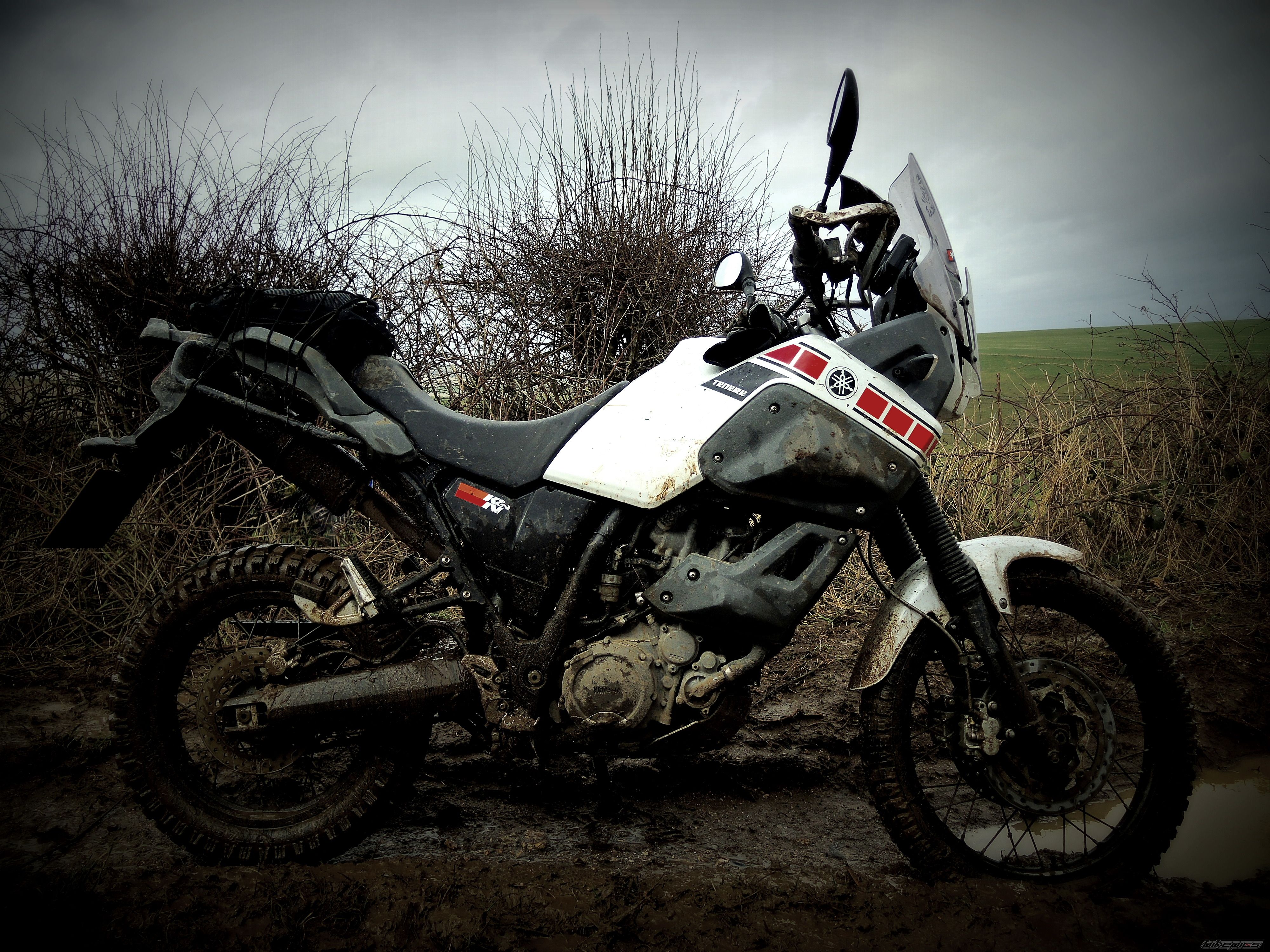 2008 YAMAHA XT660Z T%C3%A9N%C3%A9R%C3%A9 | Picture 2645330 motorcycle photo