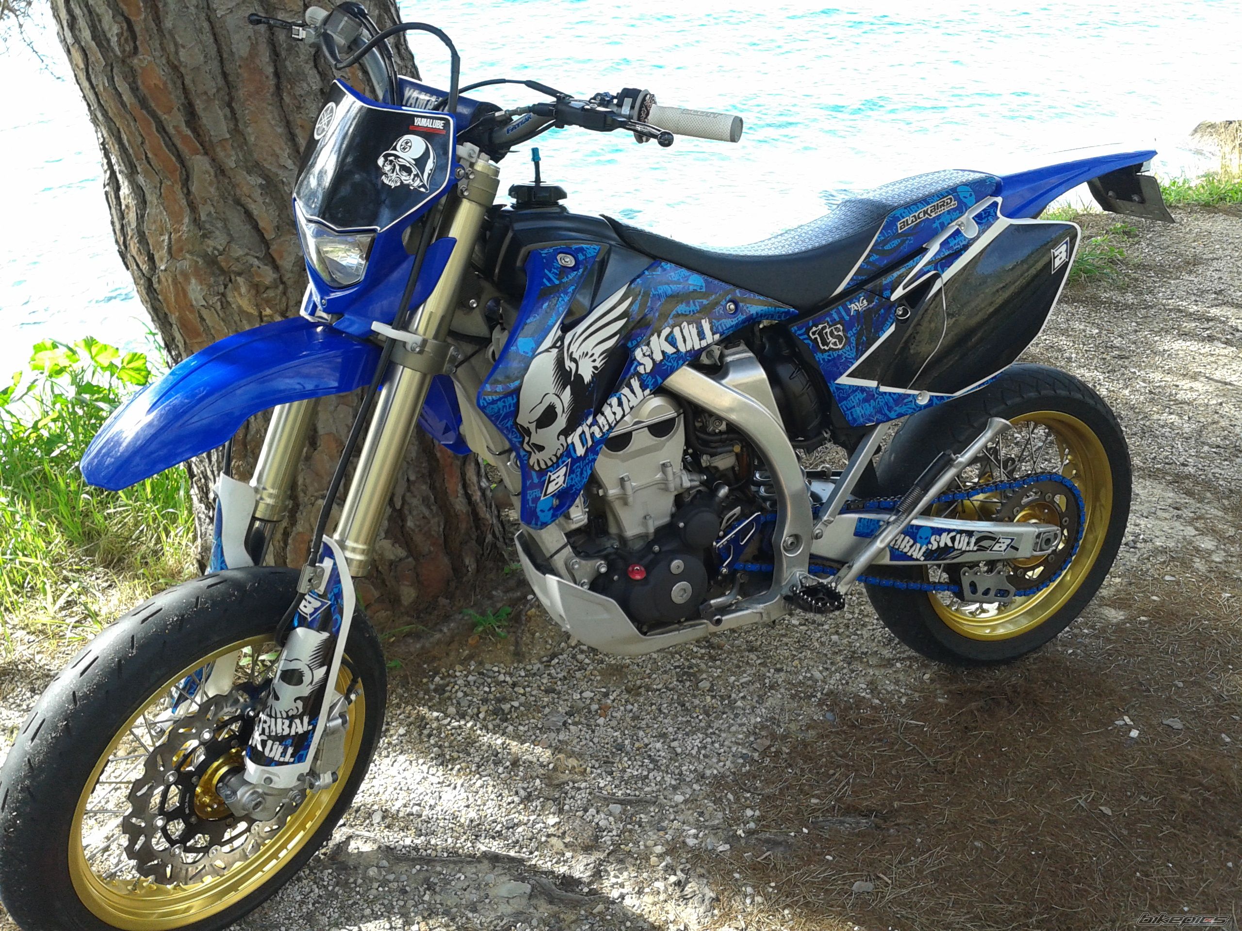 2008 YAMAHA WR 450F | Picture 2645829 motorcycle photo