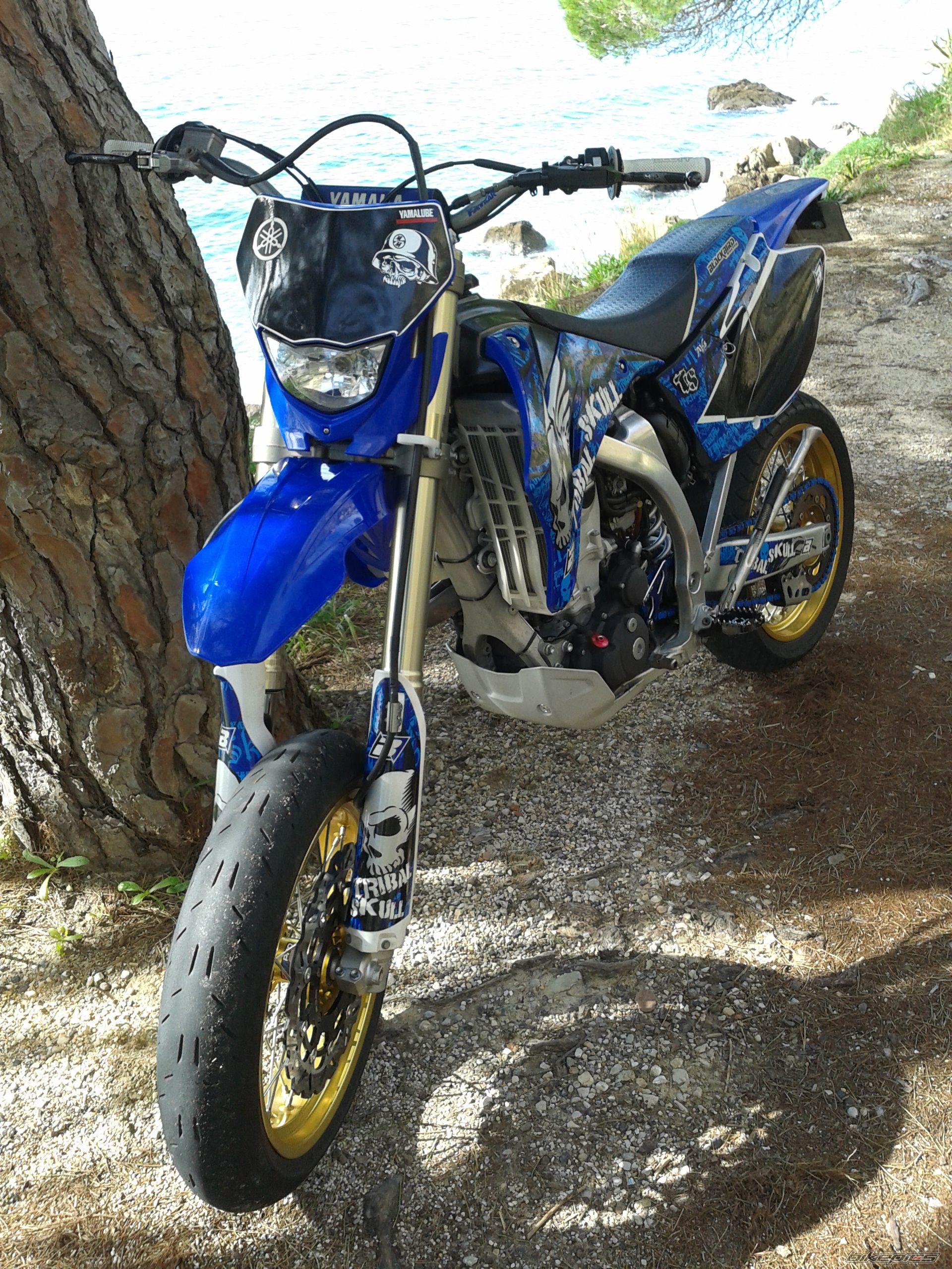 2008 YAMAHA WR 450F | Picture 2645831 motorcycle photo
