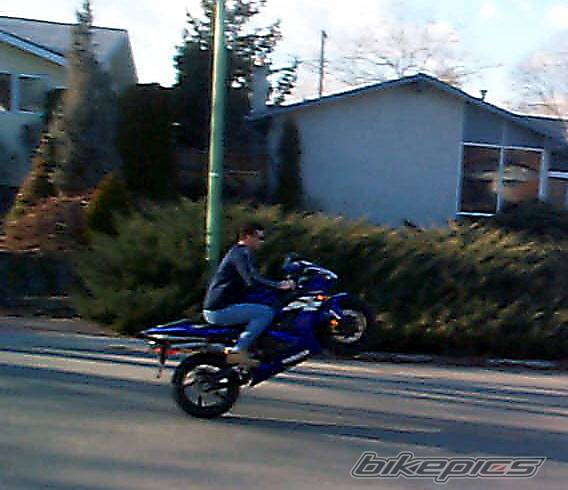 2004 YAMAHA YZF R1 | Picture 264777 motorcycle photo