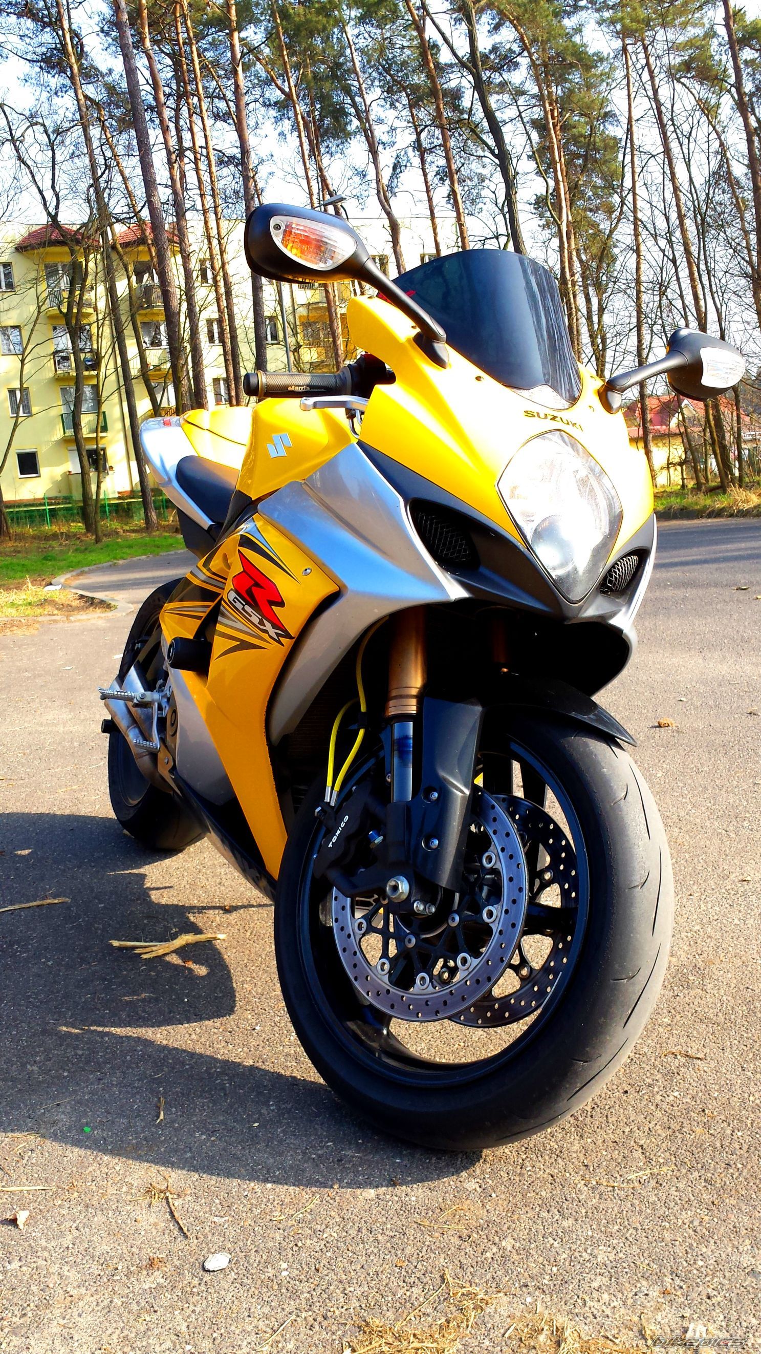 2007 SUZUKI GSX R 1000 | Picture 2648349 motorcycle photo