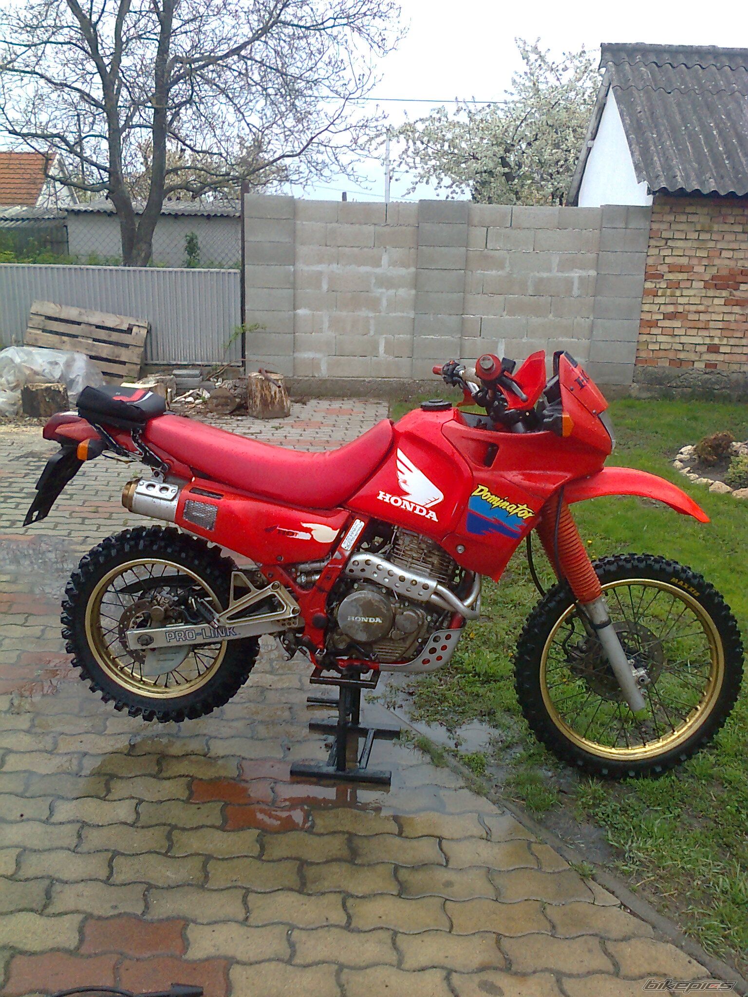 1990 HONDA NX 650 DOMINATOR | Picture 2648511 motorcycle photo