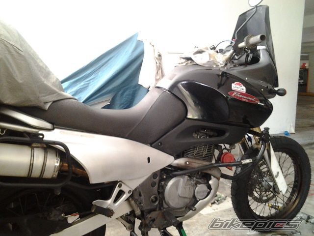 2001 SUZUKI XF 650 FREEWIND | Picture 2650218 motorcycle photo
