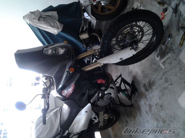 2001 SUZUKI XF 650 FREEWIND | Picture 2650219 motorcycle photo