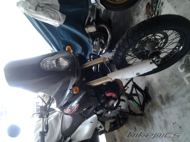 2001 SUZUKI XF 650 FREEWIND | Picture 2650220 motorcycle photo