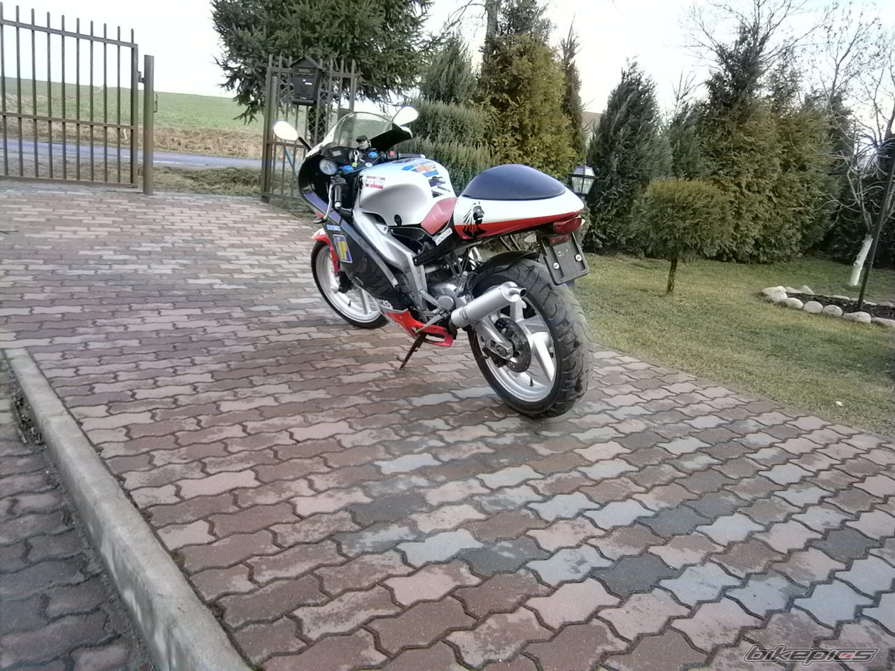1999 APRILIA RS125 | Picture 2651566 motorcycle photo