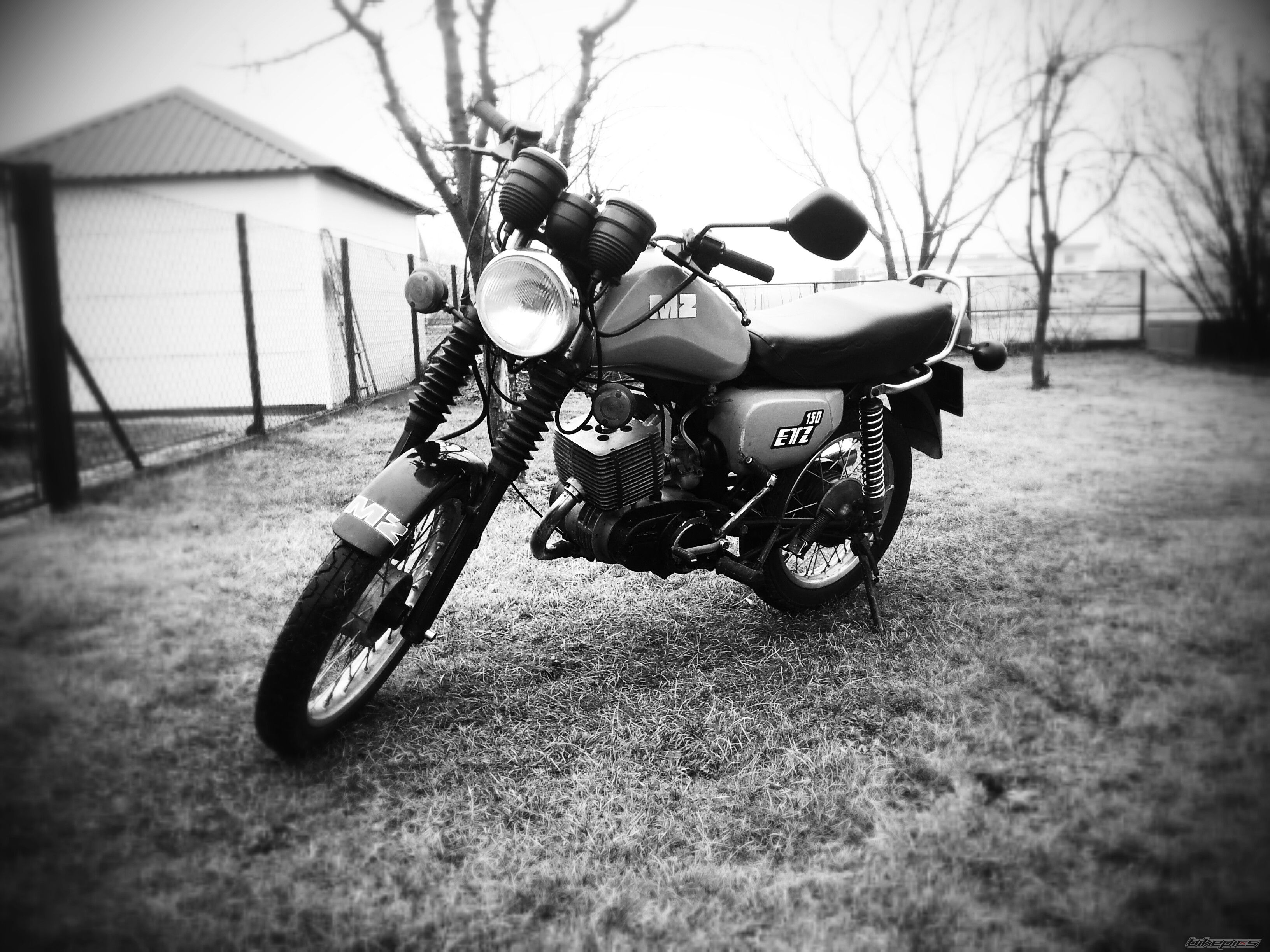 1988 MZ ETZ 150 | Picture 2651589 motorcycle photo