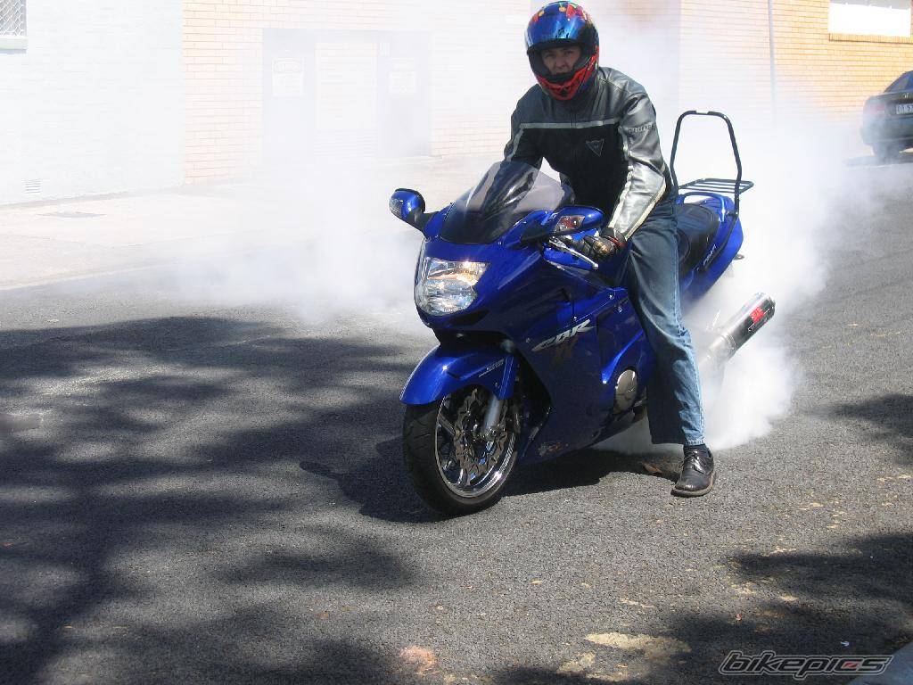 2003 HONDA CBR 1100 BLACKBIRD | Picture 265225 motorcycle photo
