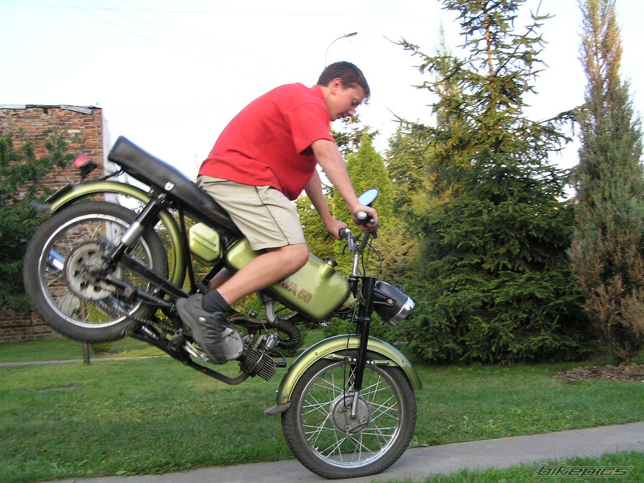 2004 JAWA MUSTANG 50 | Picture 265277 motorcycle photo