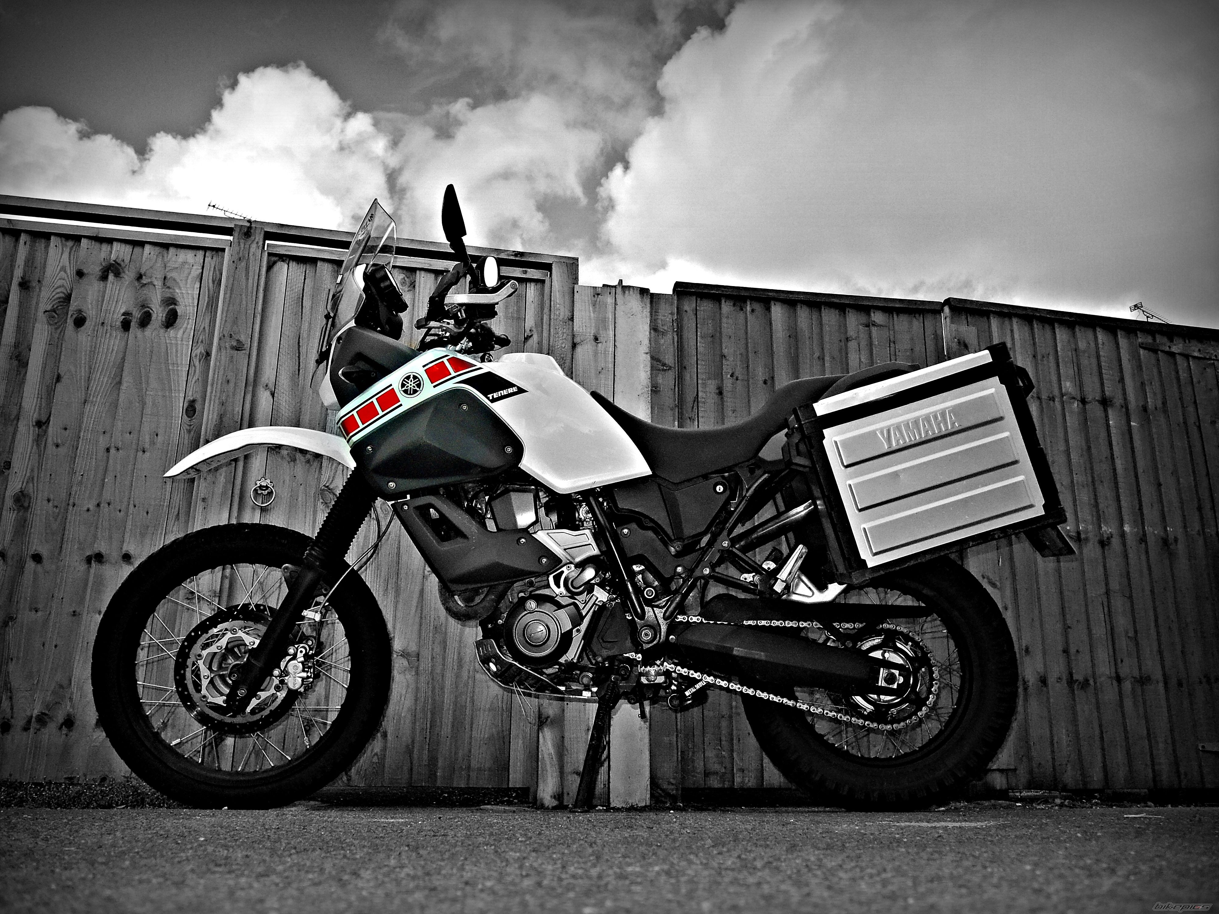 2008 YAMAHA XT660Z T%C3%A9N%C3%A9R%C3%A9 | Picture 2653007 motorcycle photo